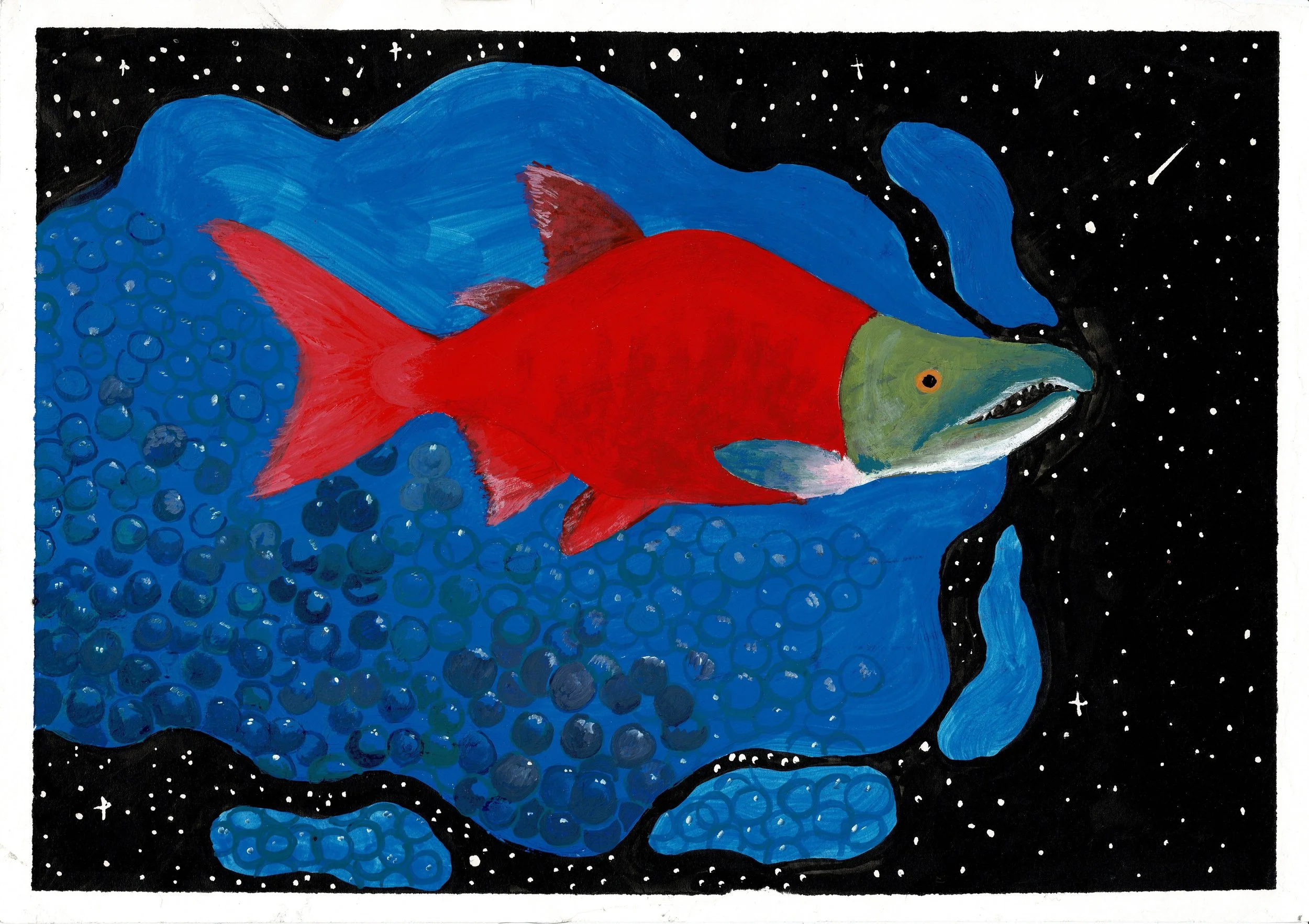 Salmon Swimming Through Blueberries