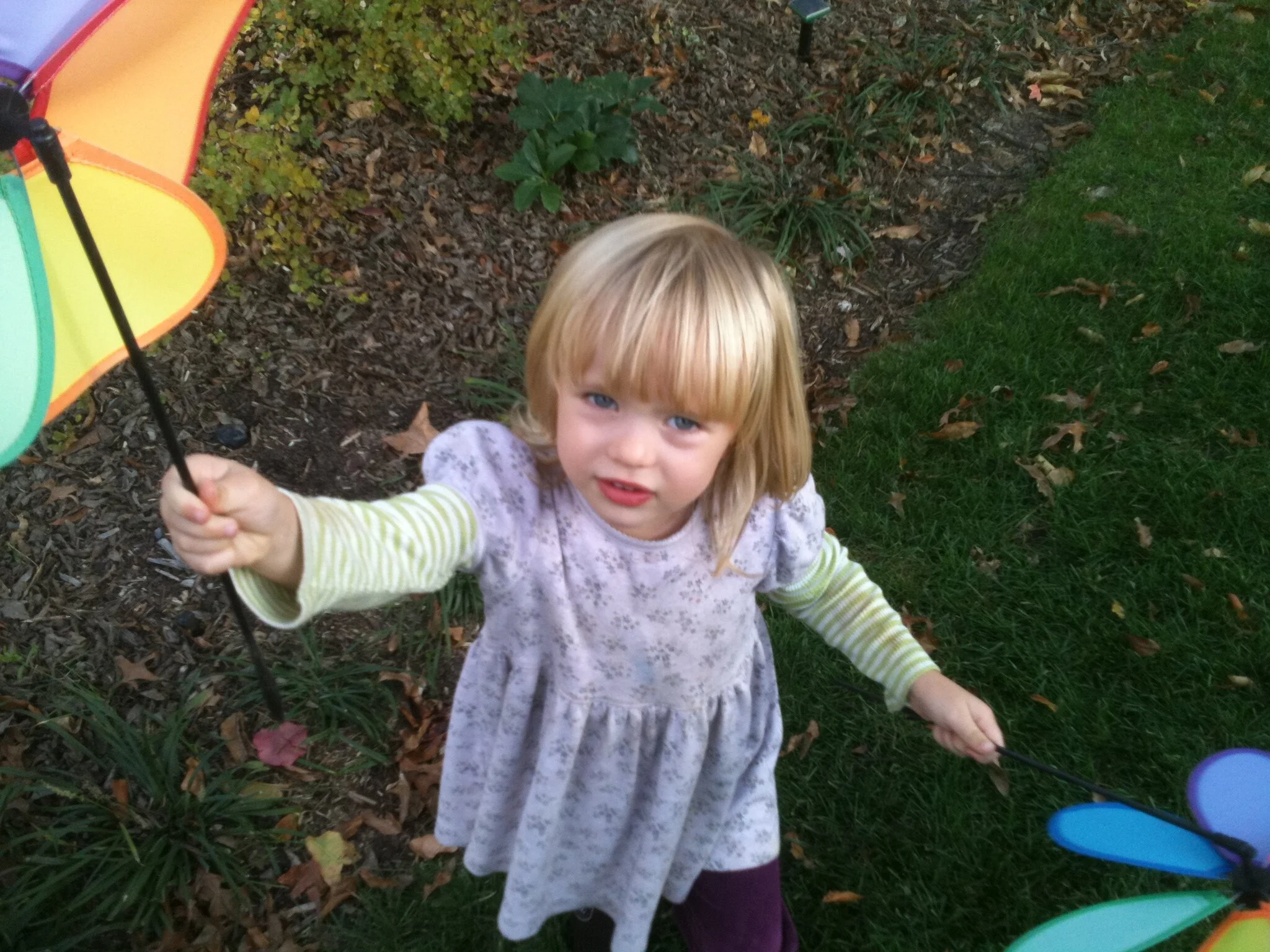 YERT squert

Image: a young, blond child holding a spinning flower decoration and wearing a purple dress, looking up at the camera