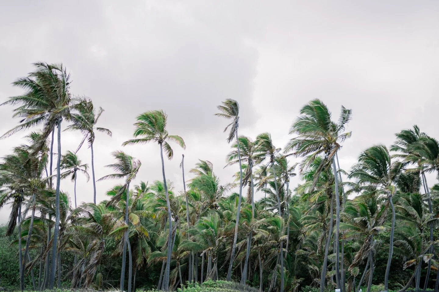 While we&rsquo;ve been experiencing a heat wave here in CA, our fam in Hawai&rsquo;i has been severely impacted by torrential rains, insane flooding, mudslides + major losses to their homes + businesses. Thankfully our fam wasn&rsquo;t too badly affe