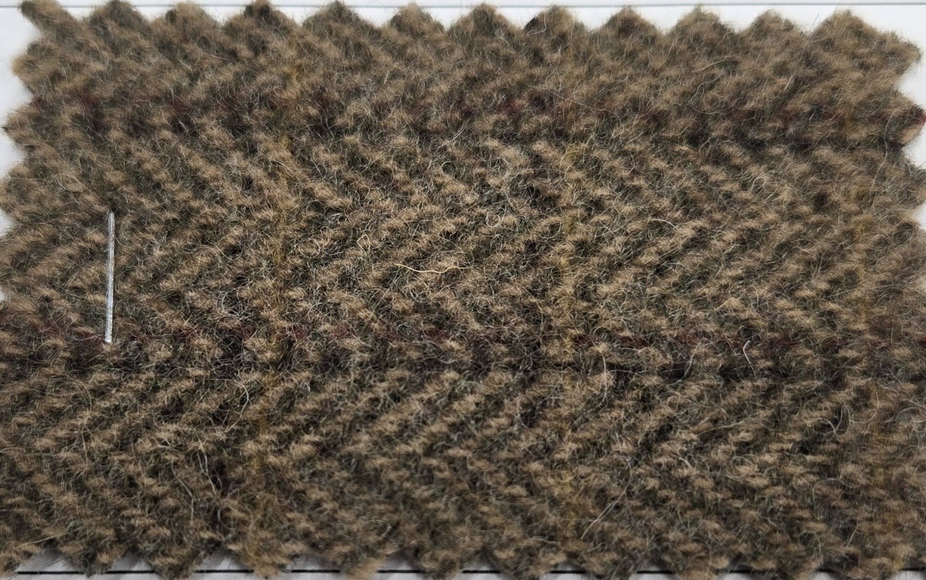20261021_204446.jpg