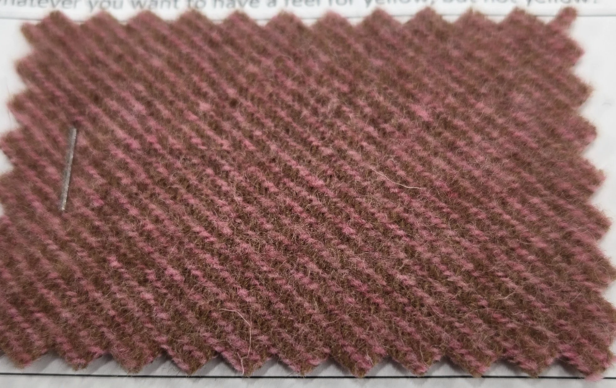20261021_202804.jpg