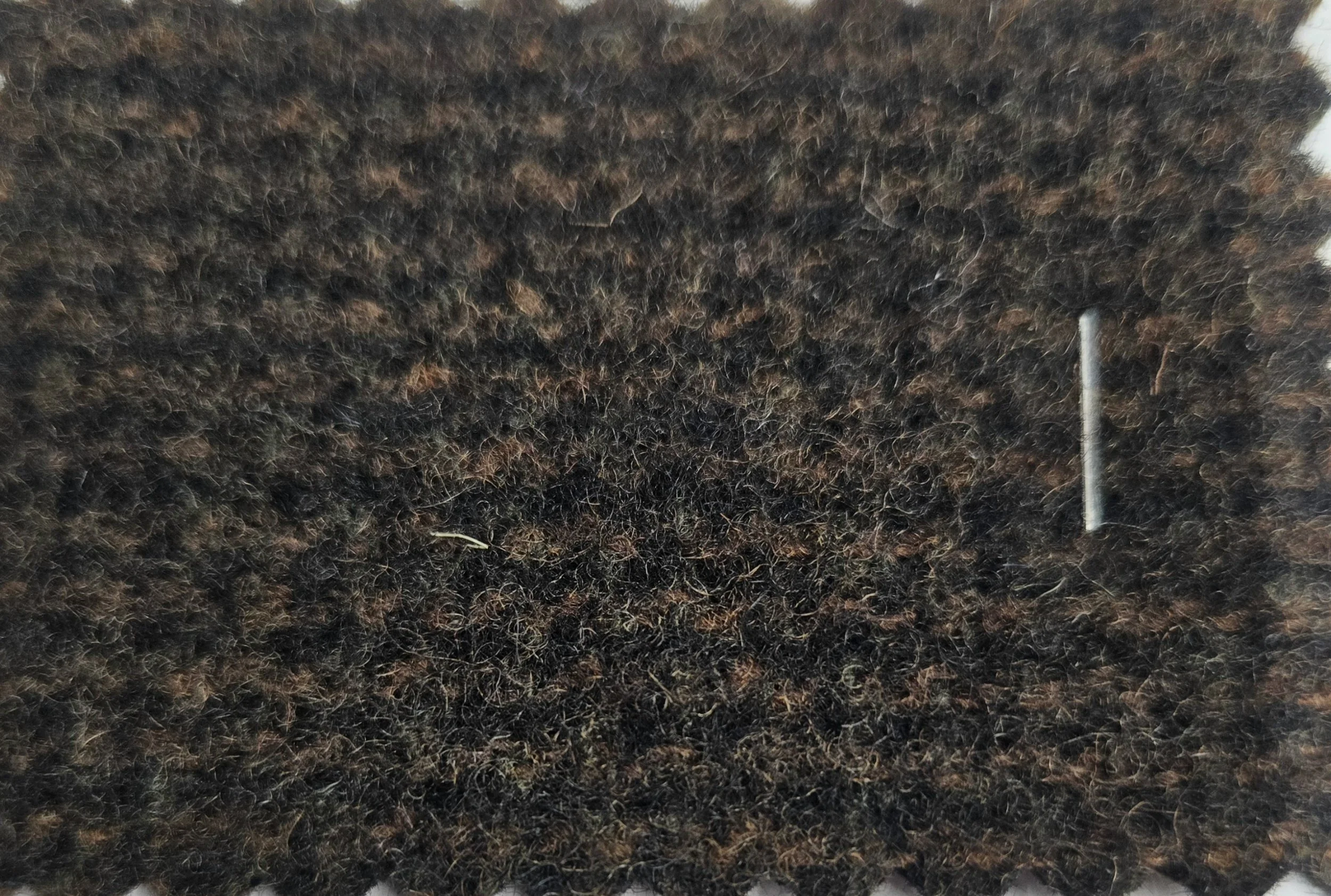 processed_20261021_195736.jpg