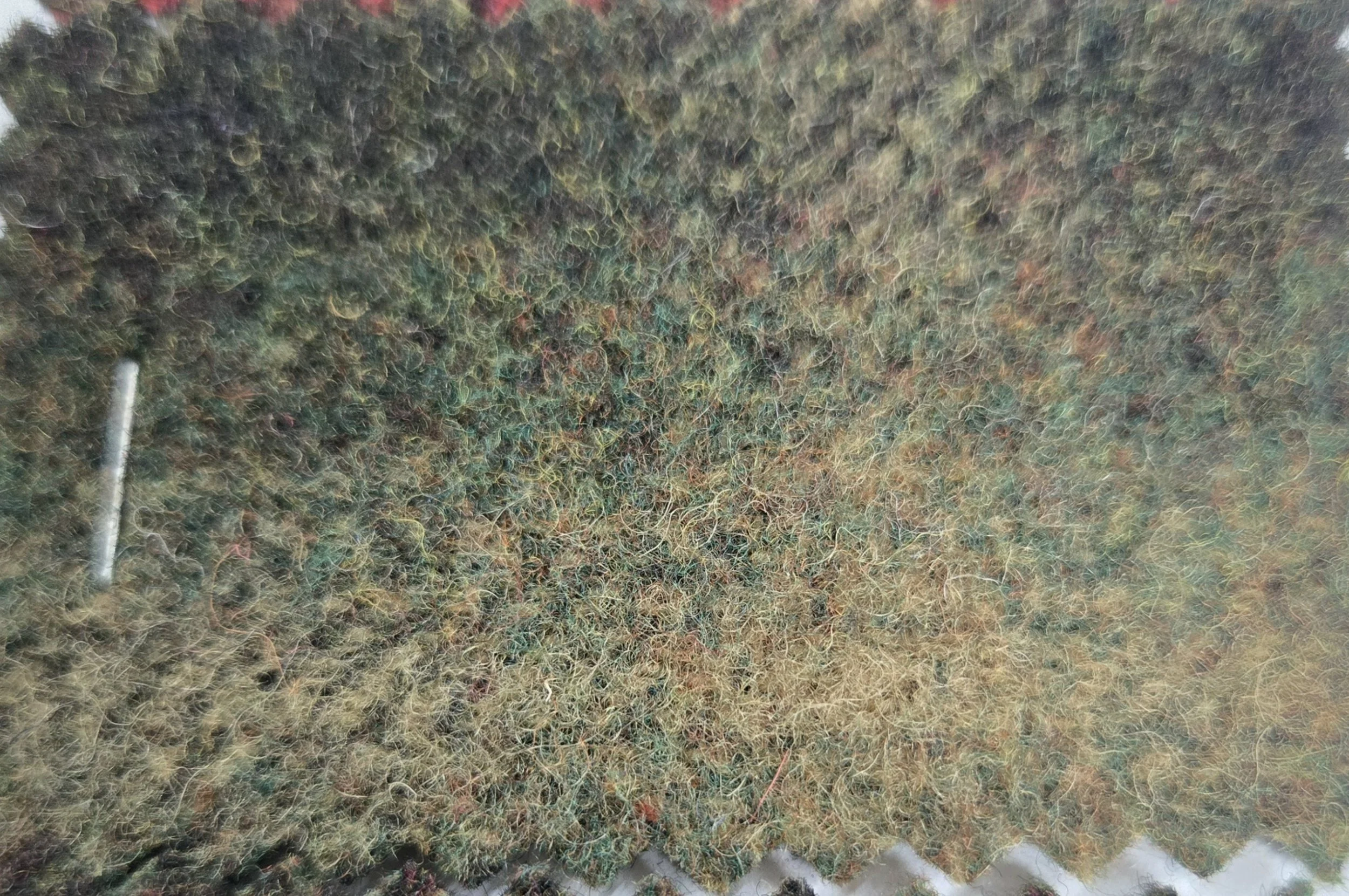 Treebeard As-Is Wool