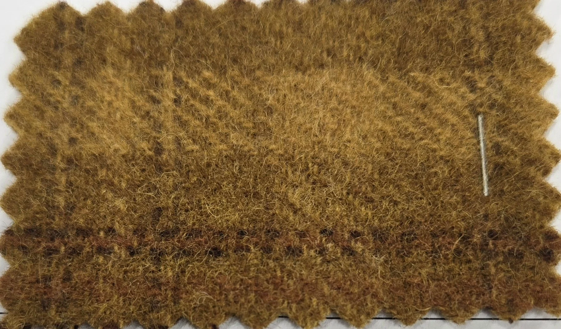 20261021_202627.jpg