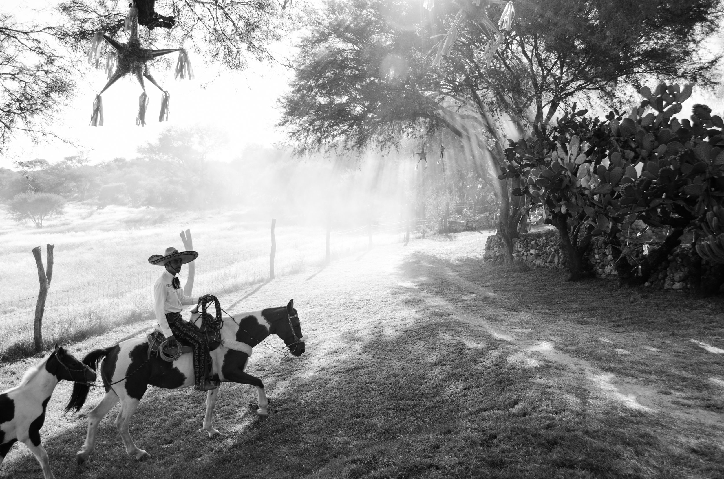 A person riding a horse on a dirt path in a rural area, with another smaller horse beside them. The individual is wearing a wide-brimmed hat and traditional clothing. There are trees, a wooden fence, and star-shaped decorations hanging from the trees