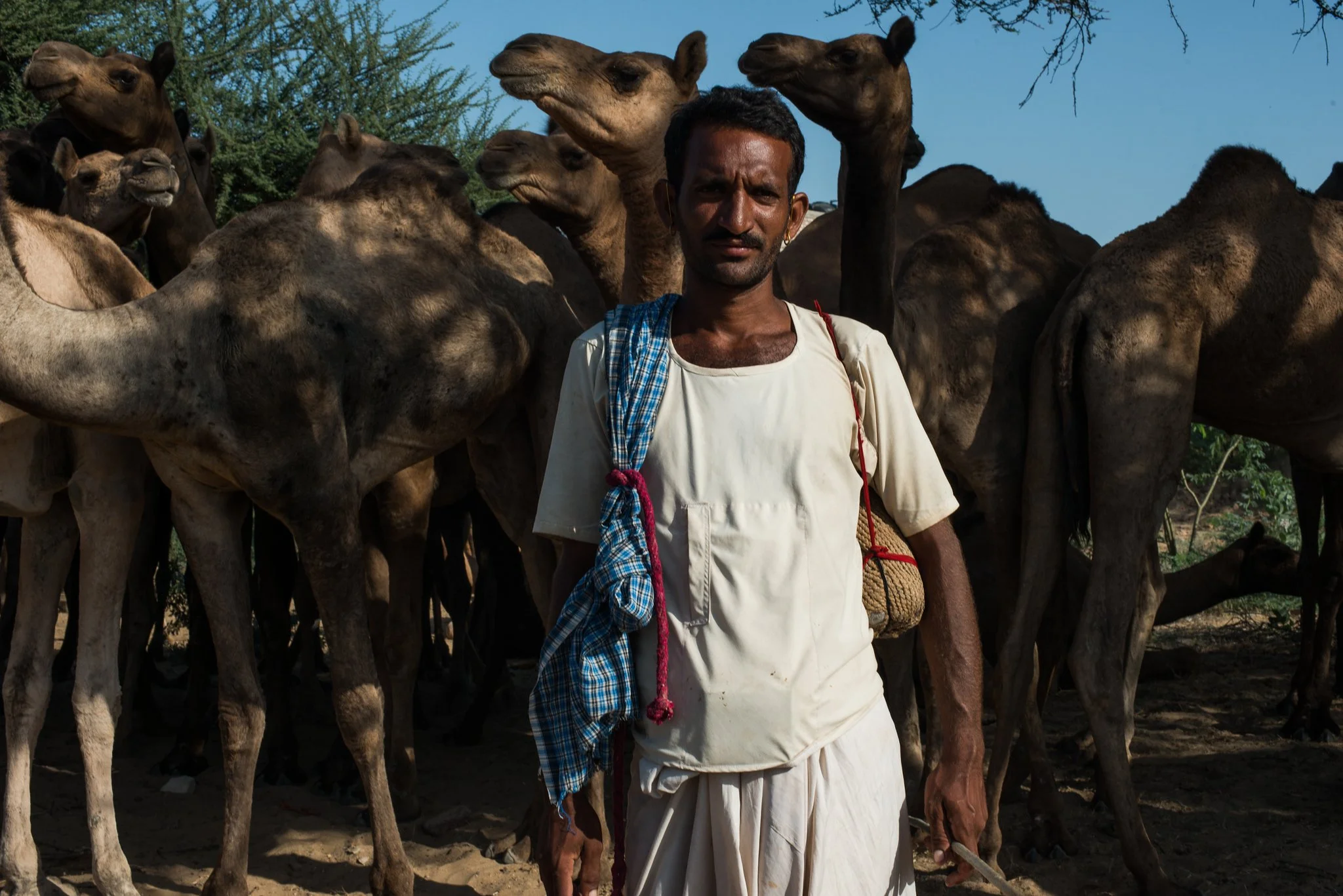 A man standing among camels outdoors under a clear blue sky, wearing traditional clothing and carrying a bag.