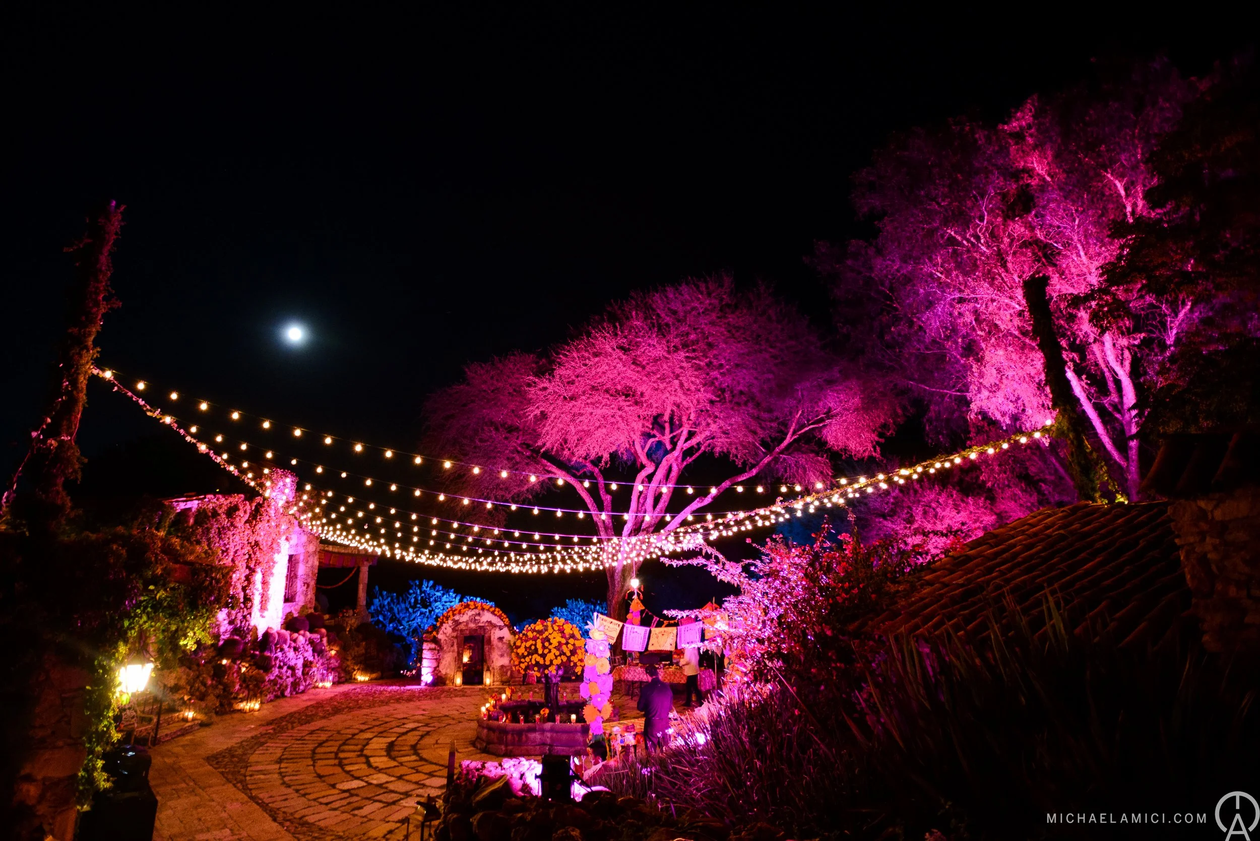 Night scene with pink illuminated trees, string lights hanging across a cobblestone pathway, with a bright full moon in the sky.