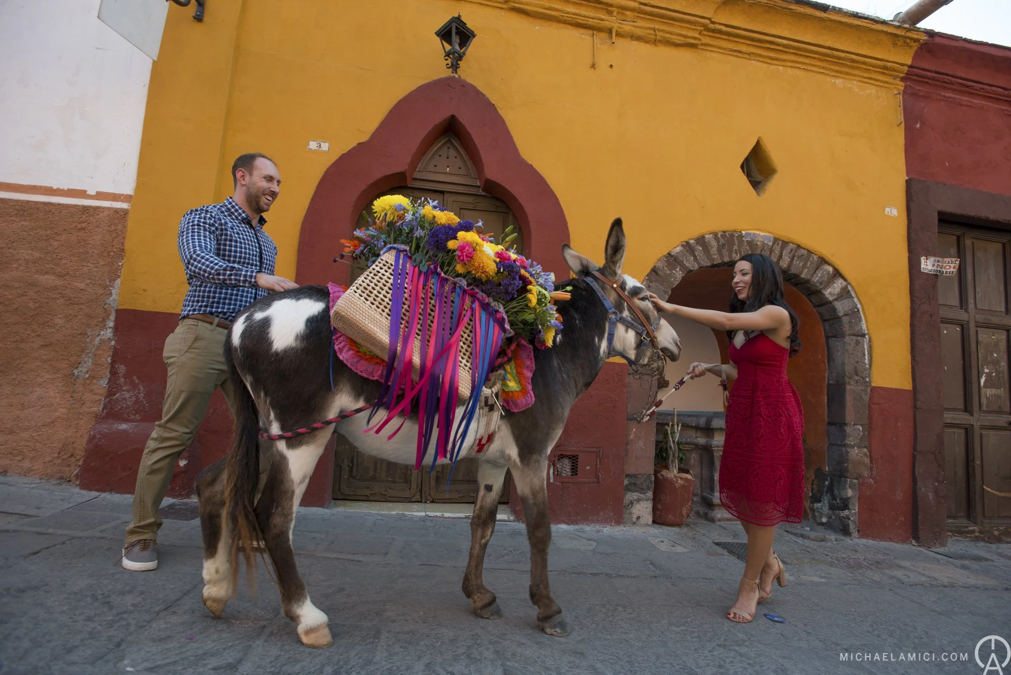Donkey wedding in San Miguel de Allende, Mexico. 