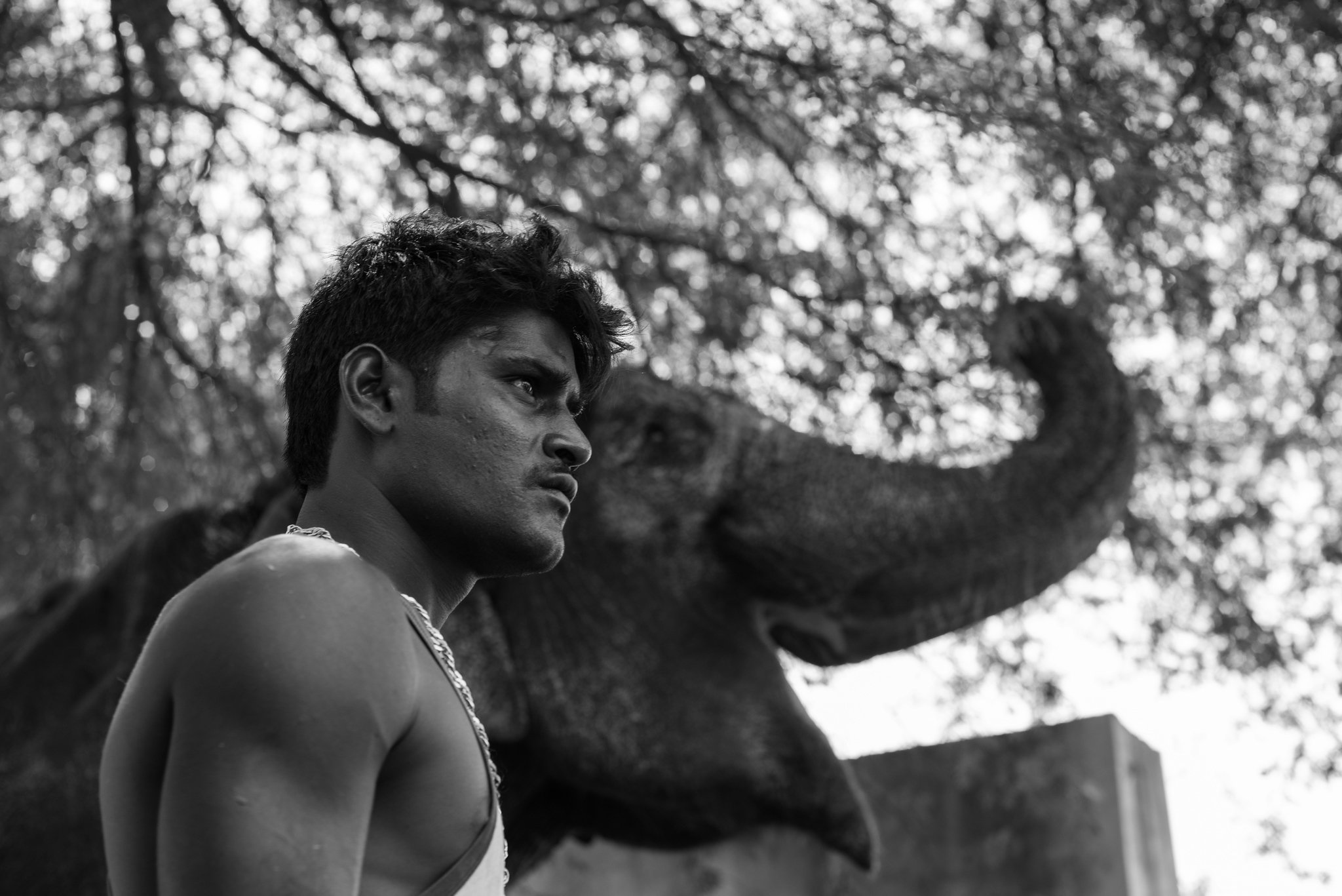 A young man with dark hair and a serious expression stands shirtless outdoors, with an elephant and tree-covered background visible in black and white.