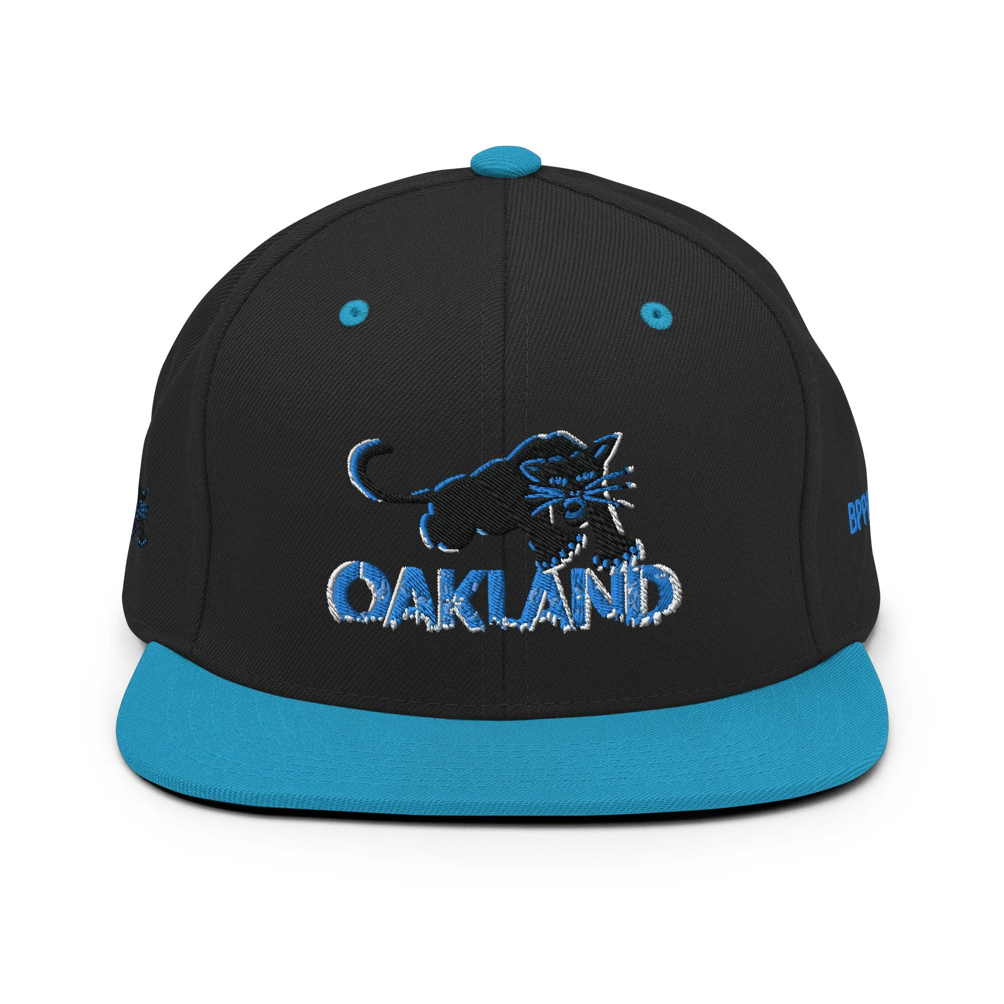classic-snapback-black-teal-front-63a4cf80c690c.jpg