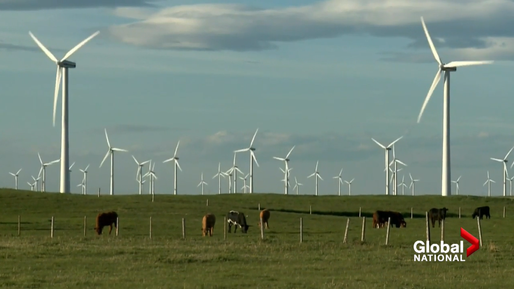 Alberta energy industry undergoing green transition