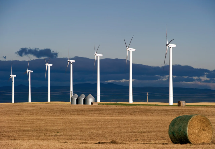 Blackspring Ridge BLACKSPRING RIDGE WIND - 300MW | (OPERATING - DEVELOPED BY GREENGATE)