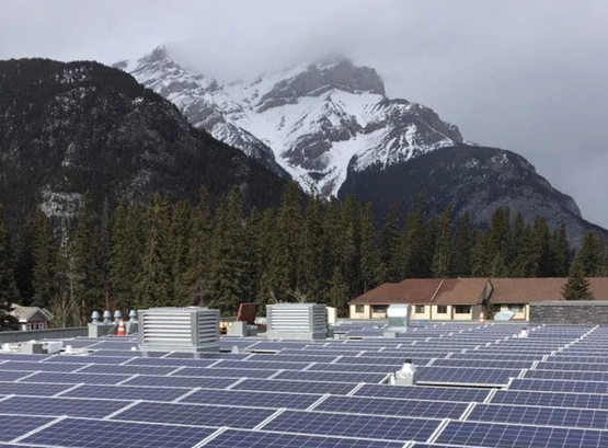 Amazon's solar farm offtake deal to accelerate Alberta's renewable energy transformation