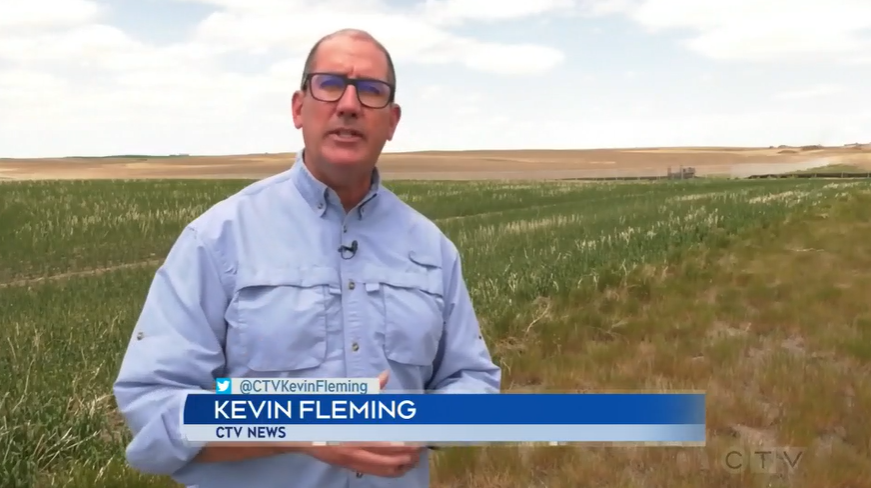 Canada's largest solar project under construction in Vulcan County