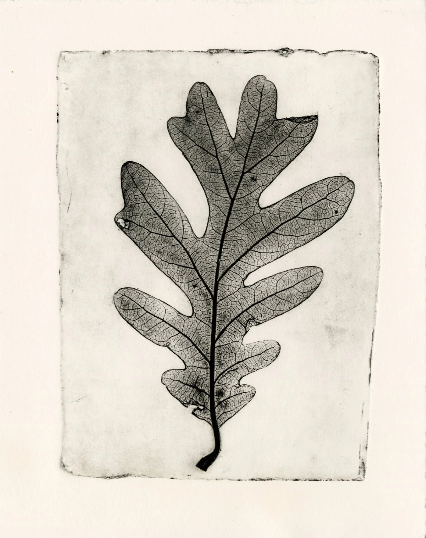 Electrotype intaglio