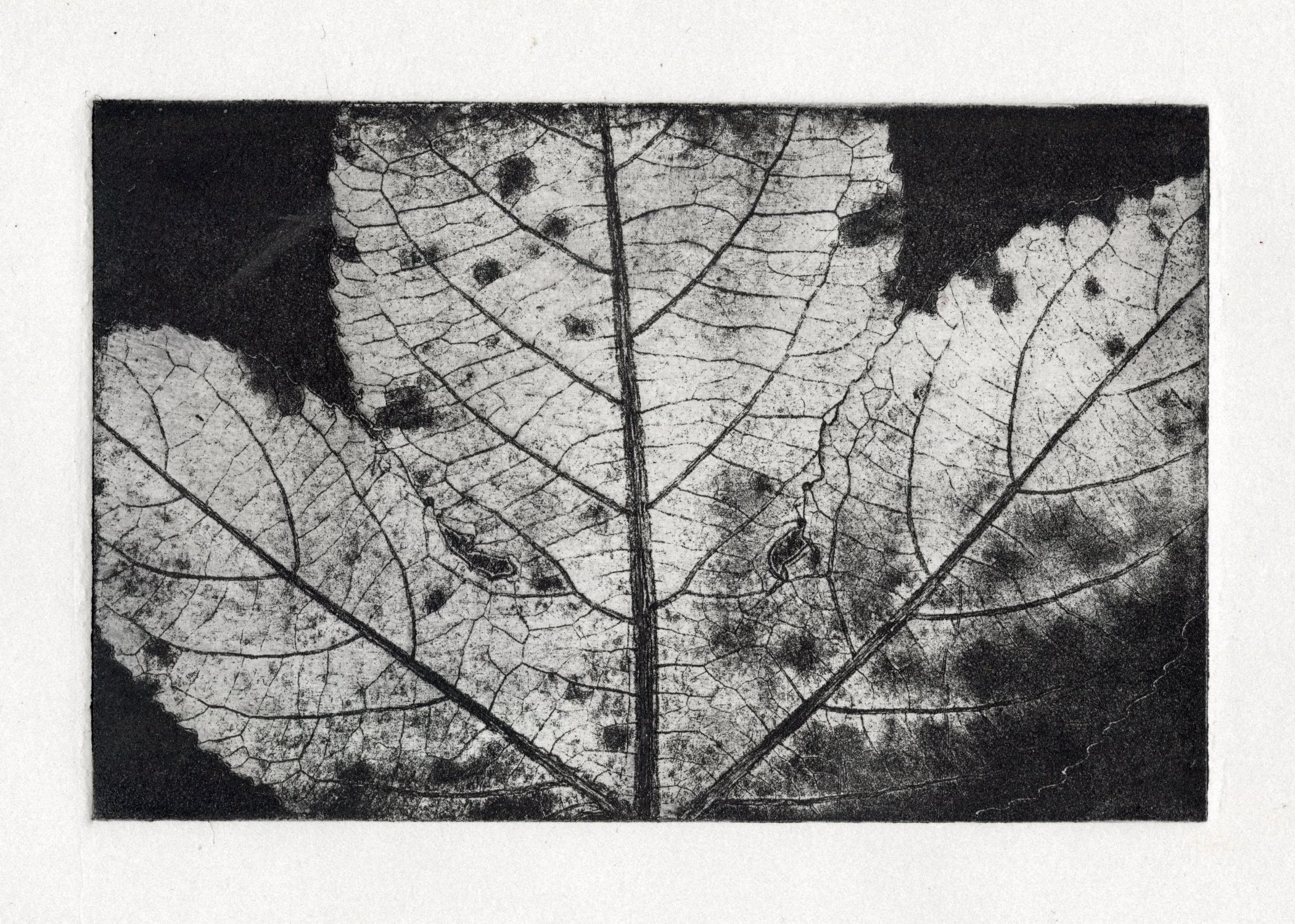 Soft ground intaglio