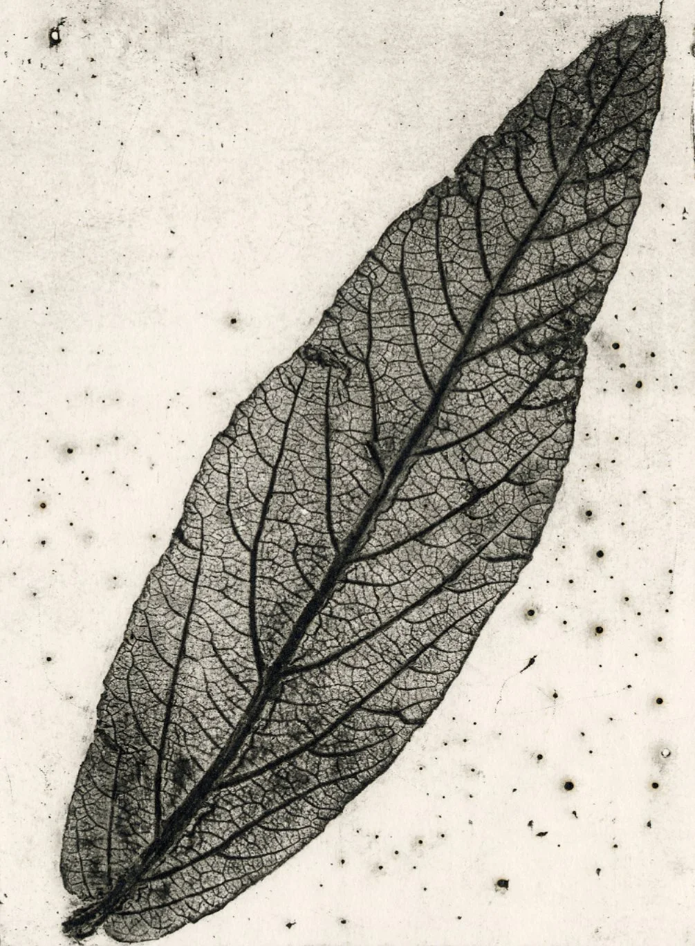 Electrotype intaglio