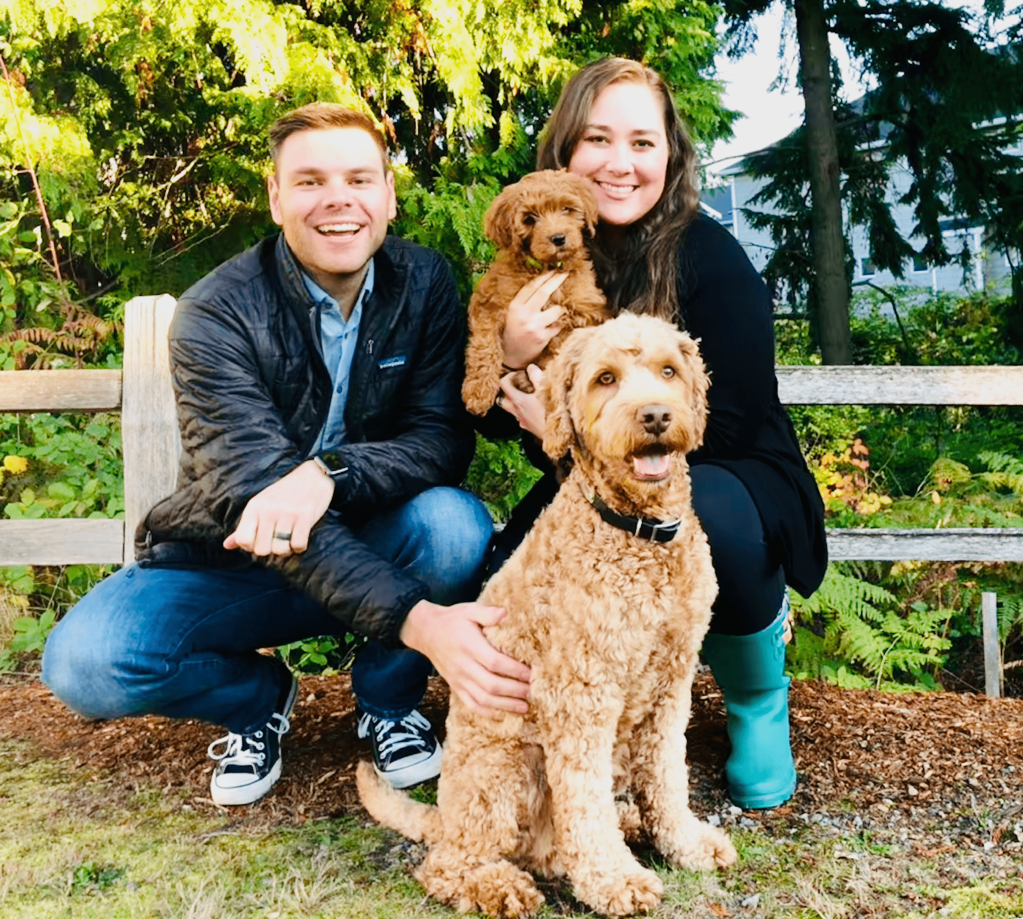 Labradoodles of Seattle