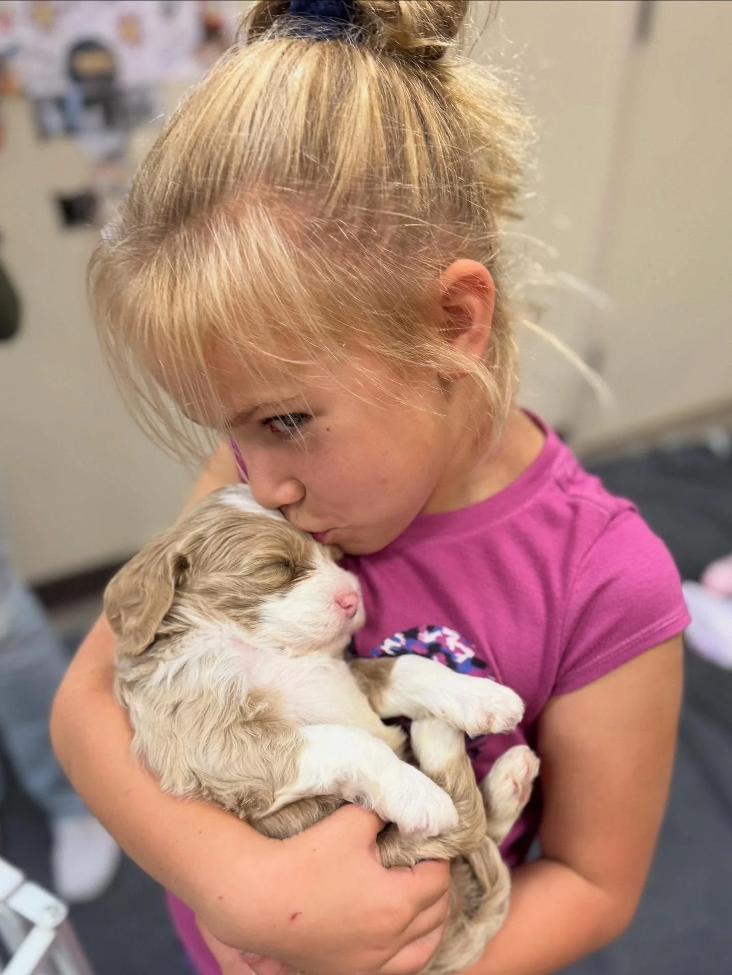 Last week the Chemistry Class litter had the best time with a great group of Girl Scouts! The puppies loved all of the attention and squeals of delight! Thank you, Girl Scouts, for giving the puppies such a positive experience that made them feel lov
