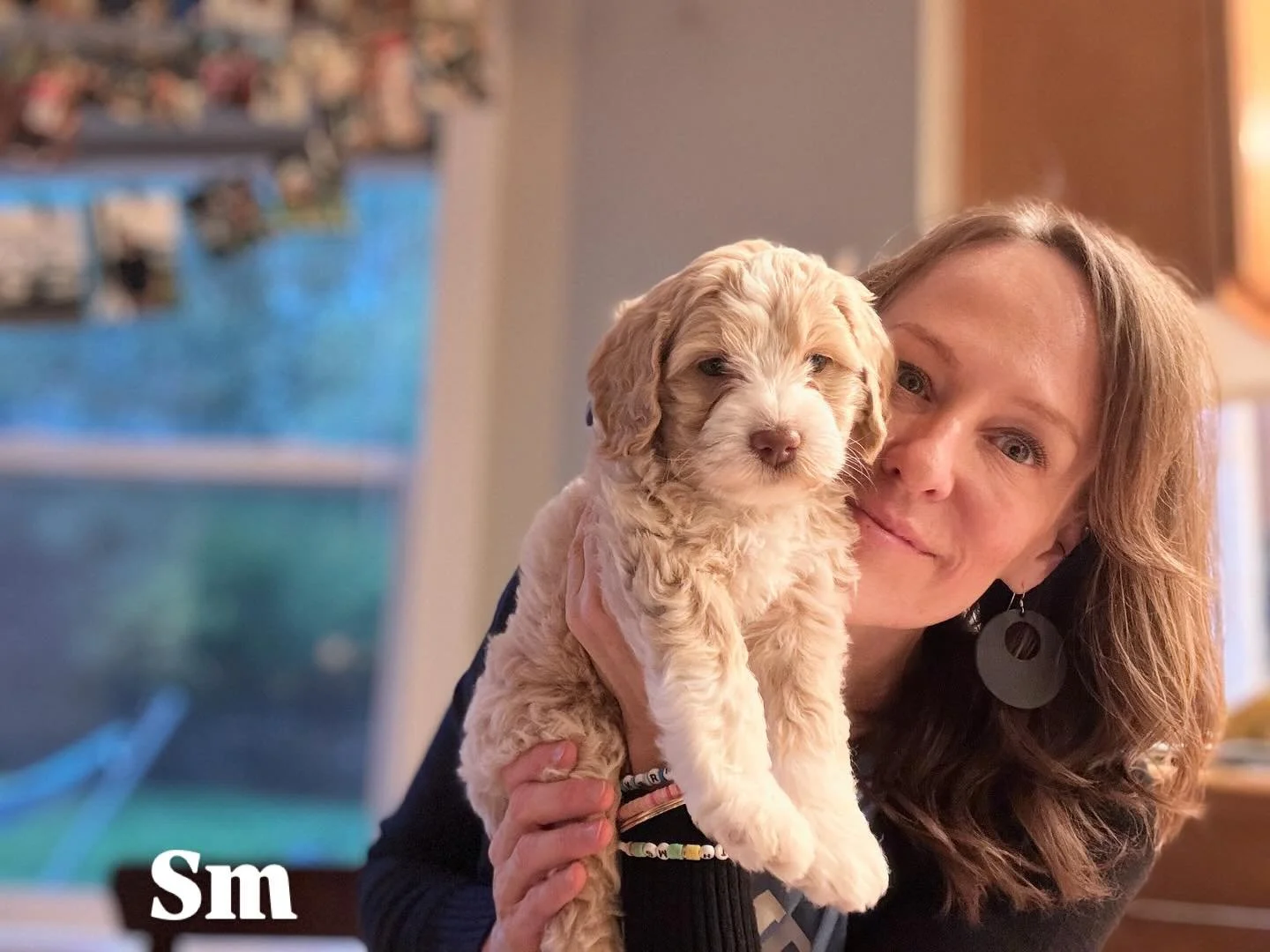 The Chemistry Class puppies are 6 weeks old! Smart, kind, loving, brave, and adorable, they are just perfect! In just 2 weeks they will join their forever families who can hardly wait to welcome them home!
🐾🐾1 reservation available. Message me if y