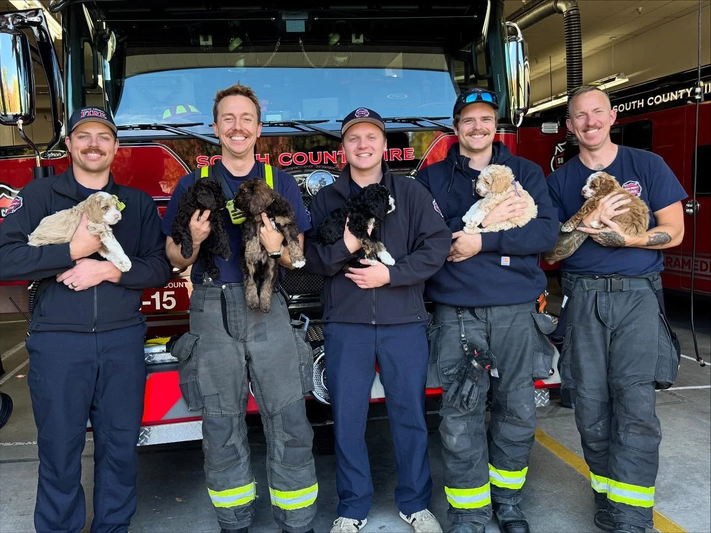 The Chemistry Class puppies had such a fun week of socialization with so many great people. Here are our amazing firemen at the South County Fire Station of Lynnwood. The pups were able to hear the sounds of the station, feel the slick surface of the