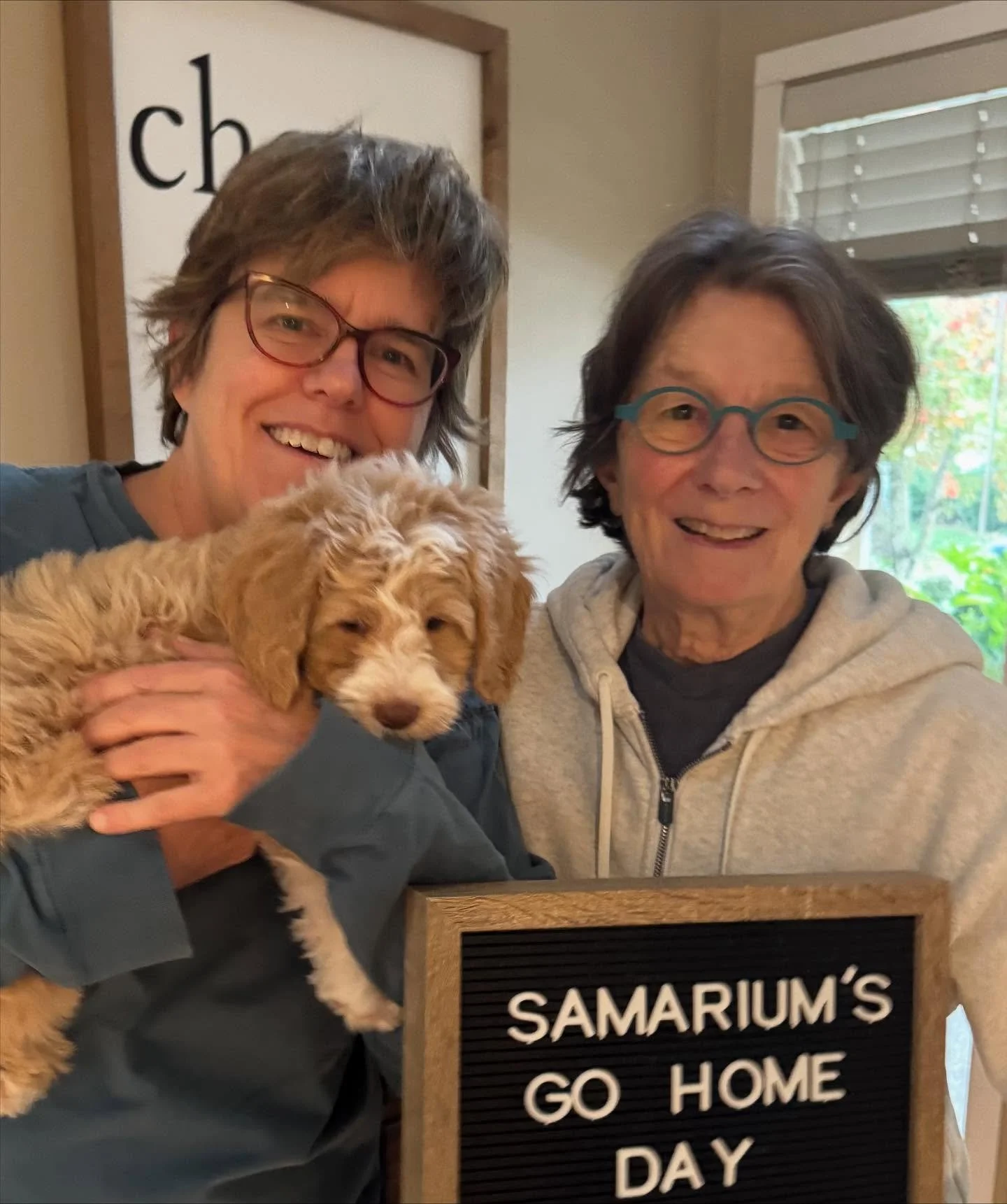 After delivering these little ones into this world, holding them close and letting them know how loved they are, and working with them for 8 weeks to bring out their very best, the day comes when the puppies and their families are ready to start a br