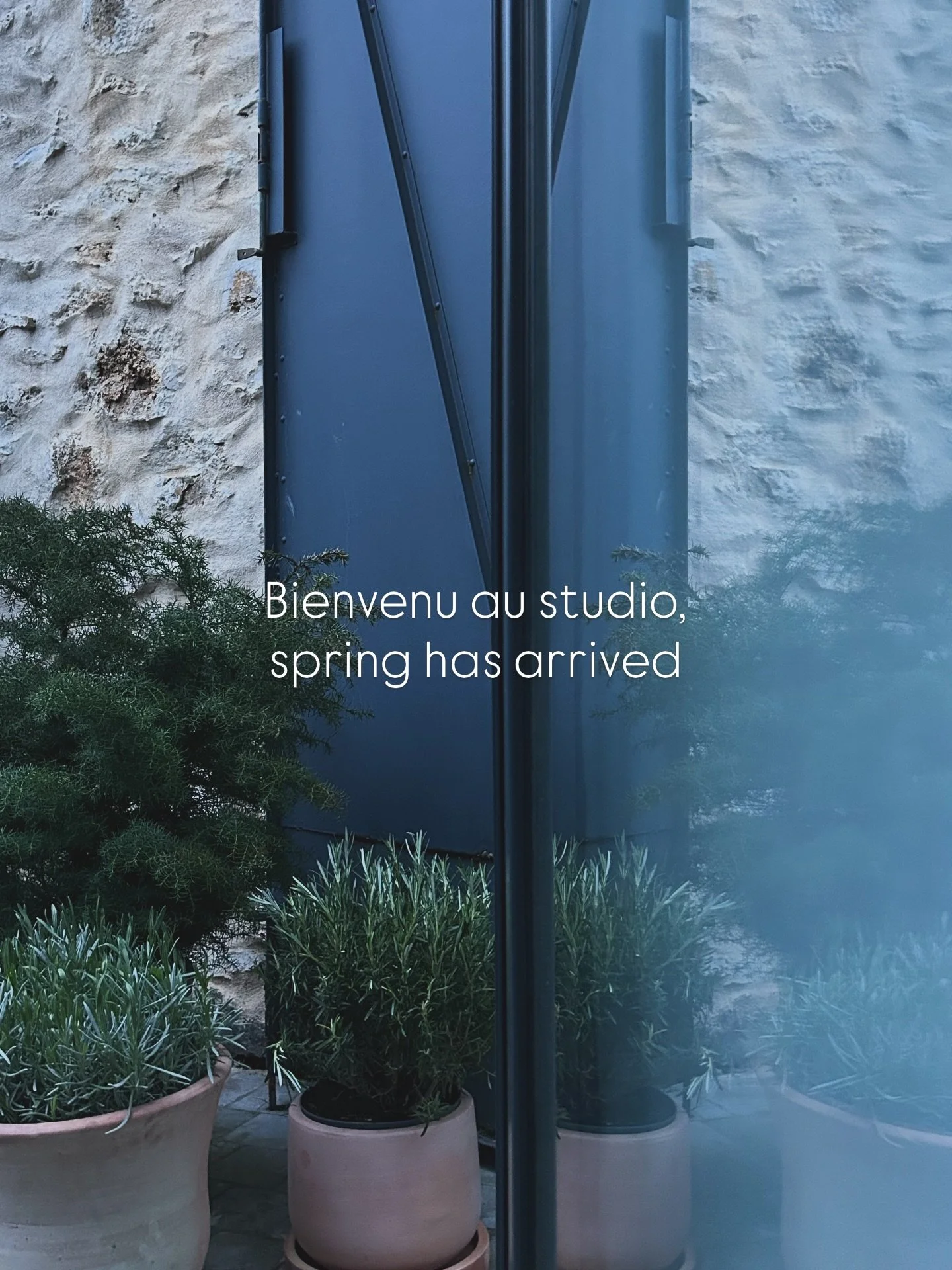 Pilates Th&eacute;rapie c&rsquo;est un peu Earth School, l&rsquo;&eacute;cole de la vie. Des corps en mouvement, des mues, les saisons. 
Merci aux &eacute;l&egrave;ves, aux femmes, qui &agrave; travers leurs t&eacute;moignages et leur confiance, me p