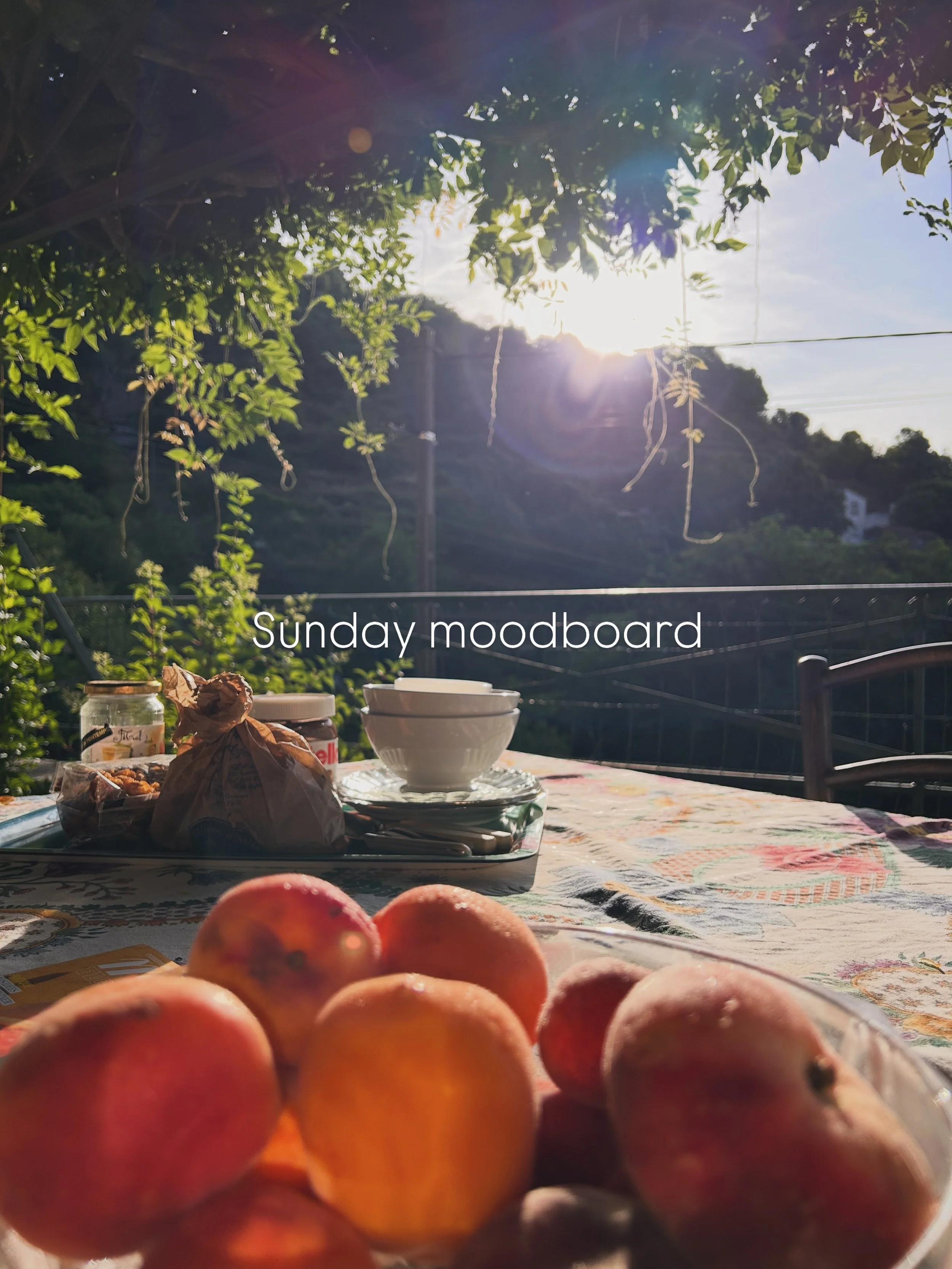 Sunday moodboard 🍑🌾💦🌊🌅☕️🐒😻📖👙🍉