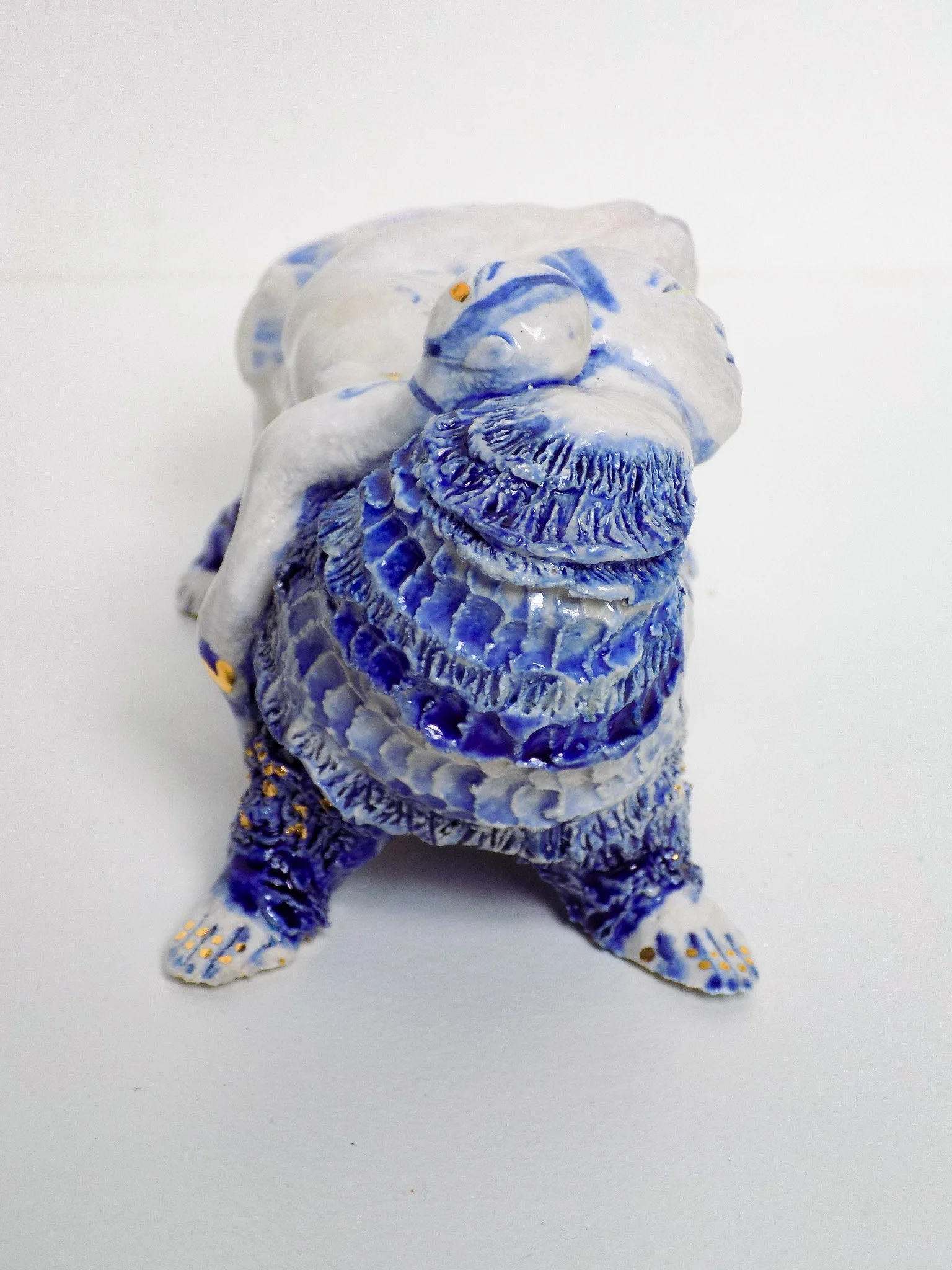 DSCN6808.jpg