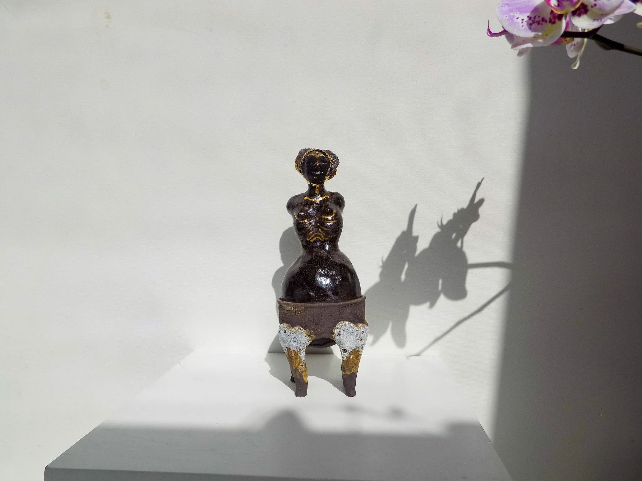 DSCN6637.jpg