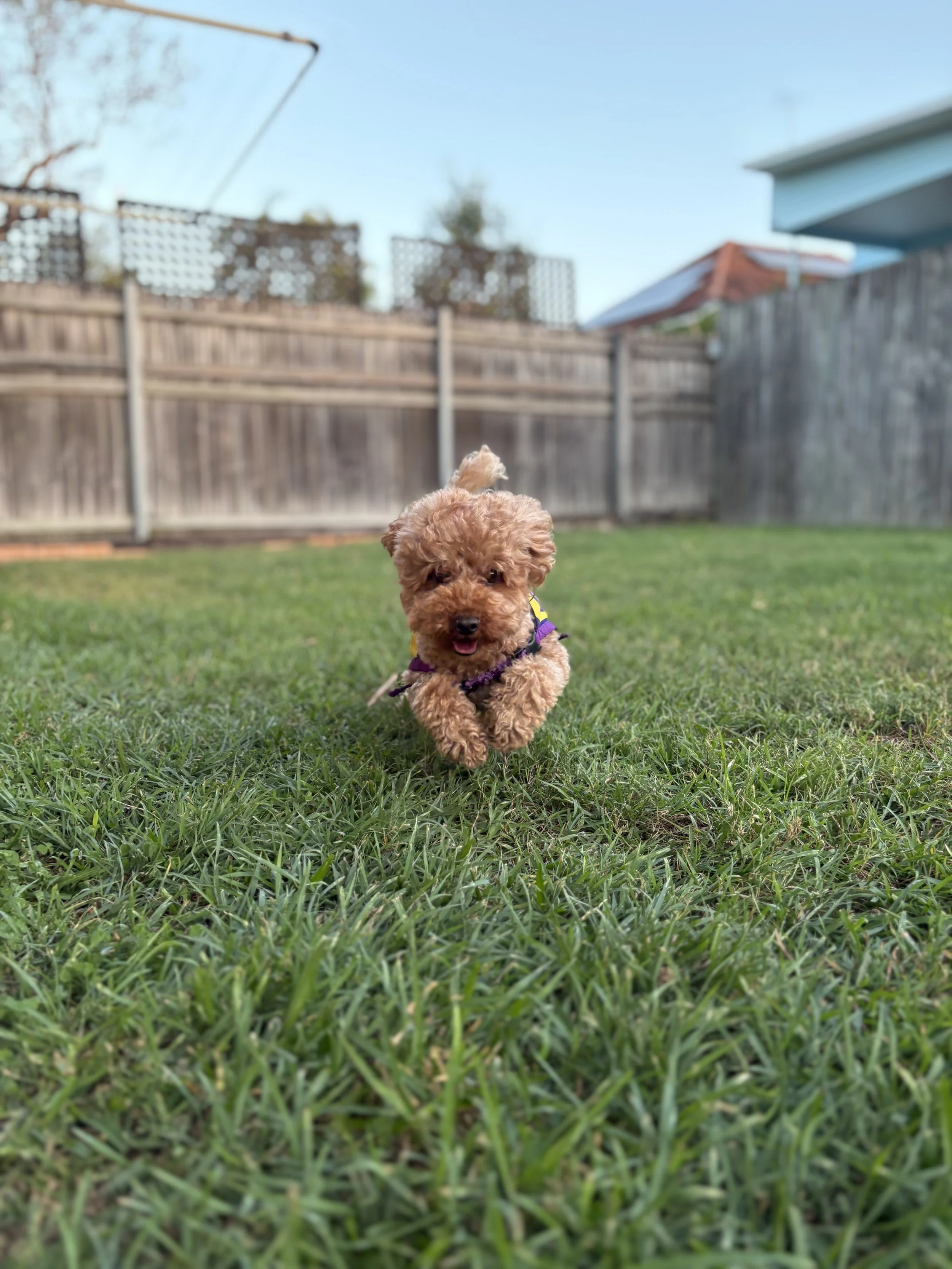 IMG_3012.JPEG