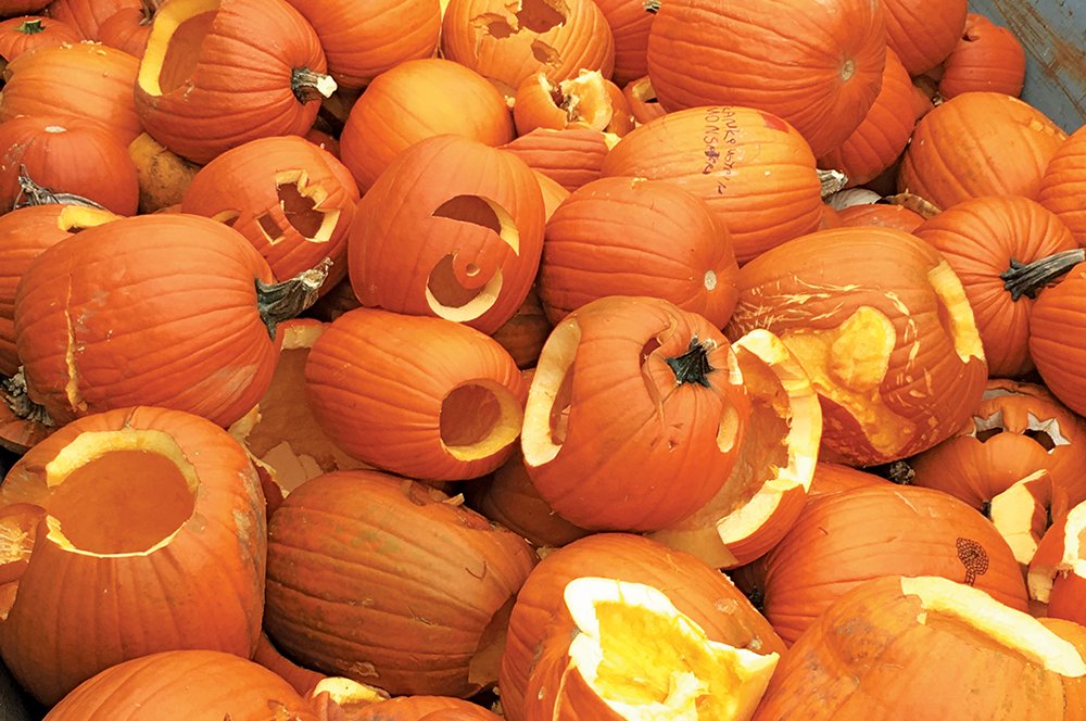 File:Big & Small Pumkins.JPG - Wikimedia Commons