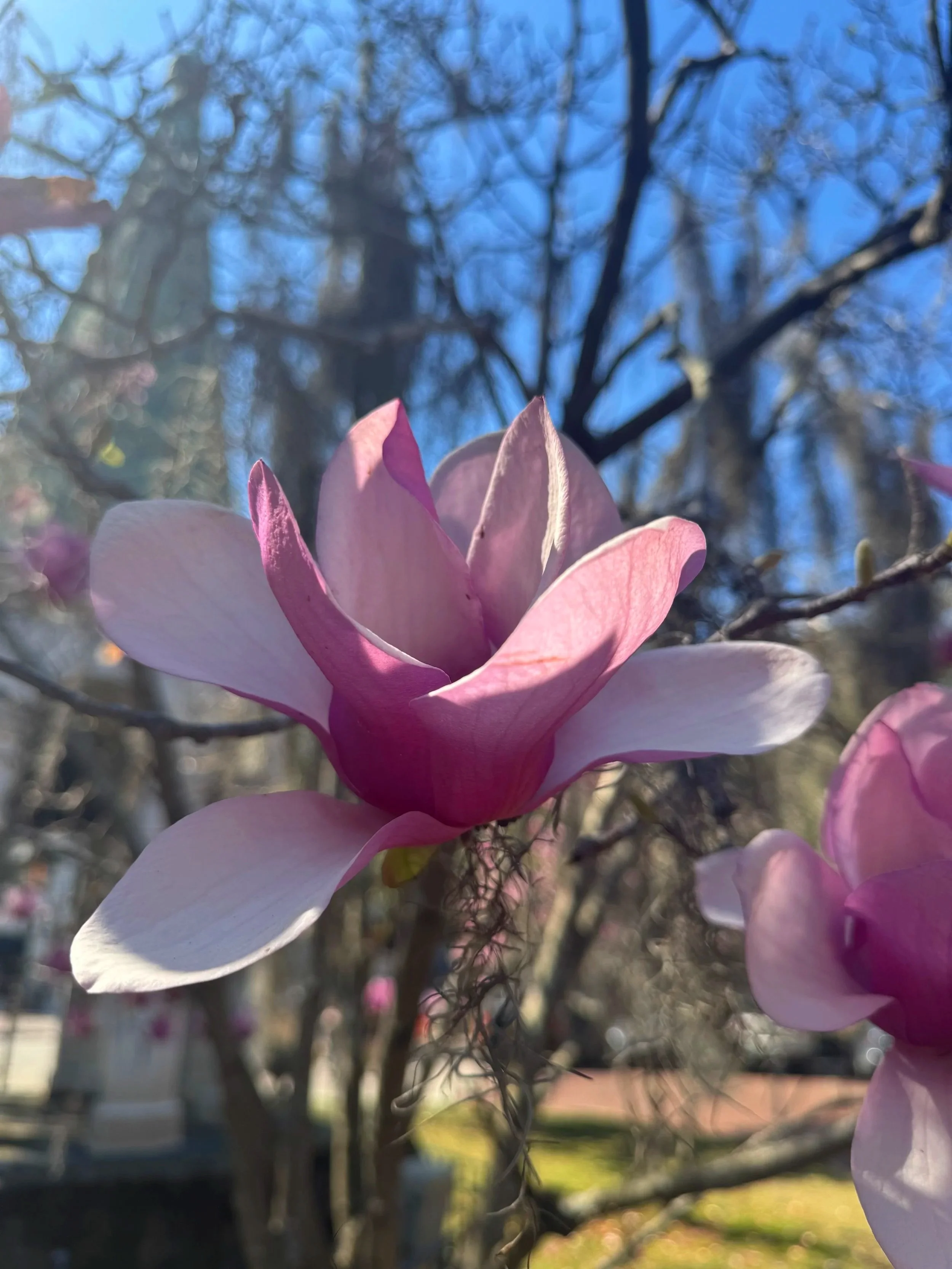 Spring Is Here. Your Body Is Still Catching Up.