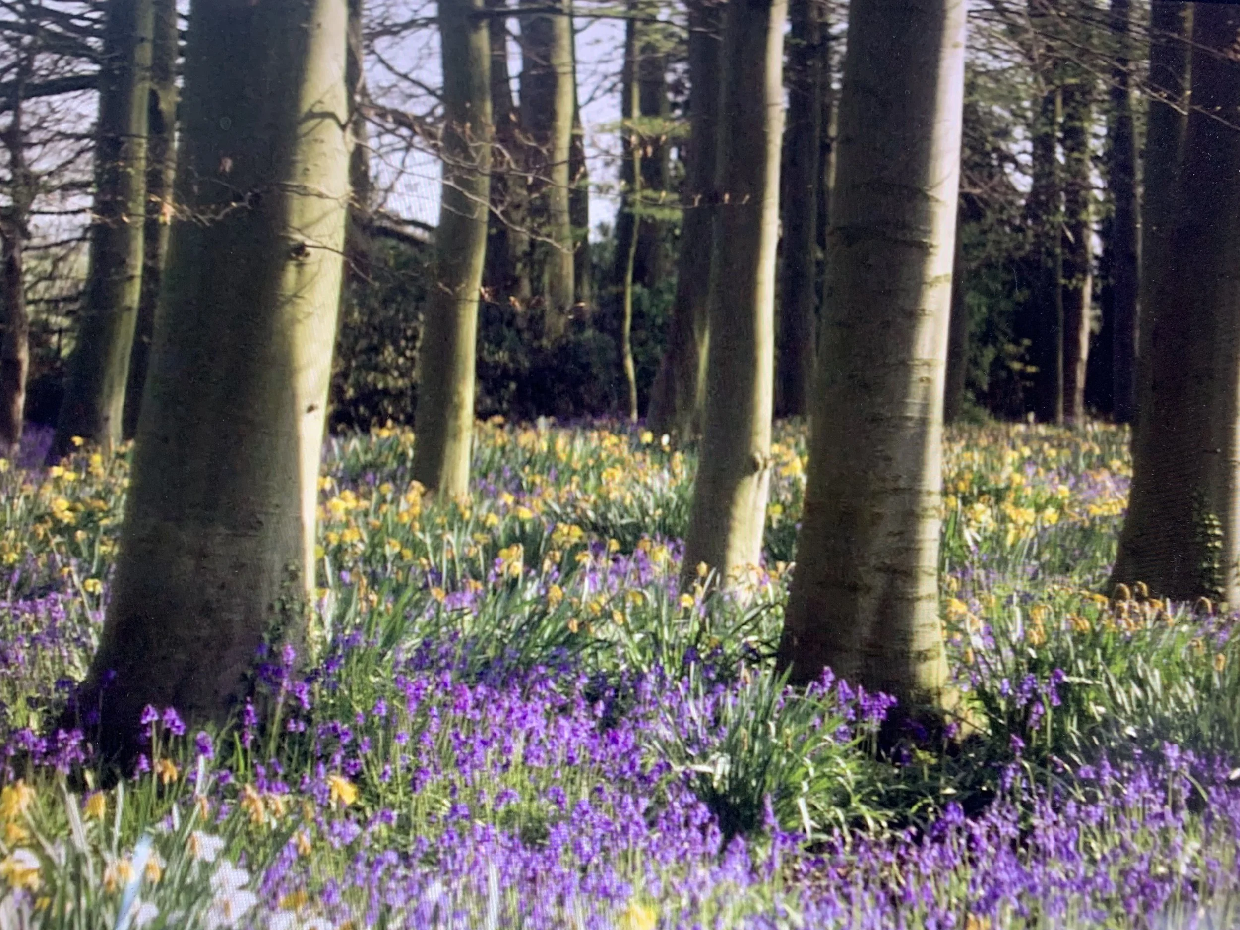 Spring Is Here. Your Body Is Still Catching Up.
