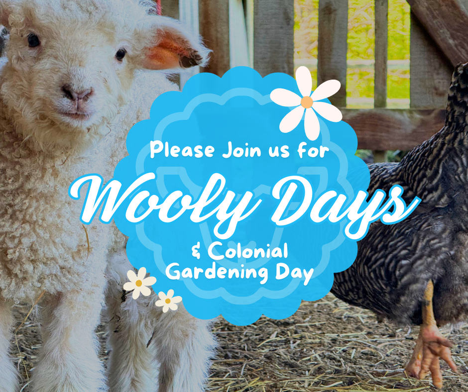 Woolly Days &amp; Colonial Gardening Day