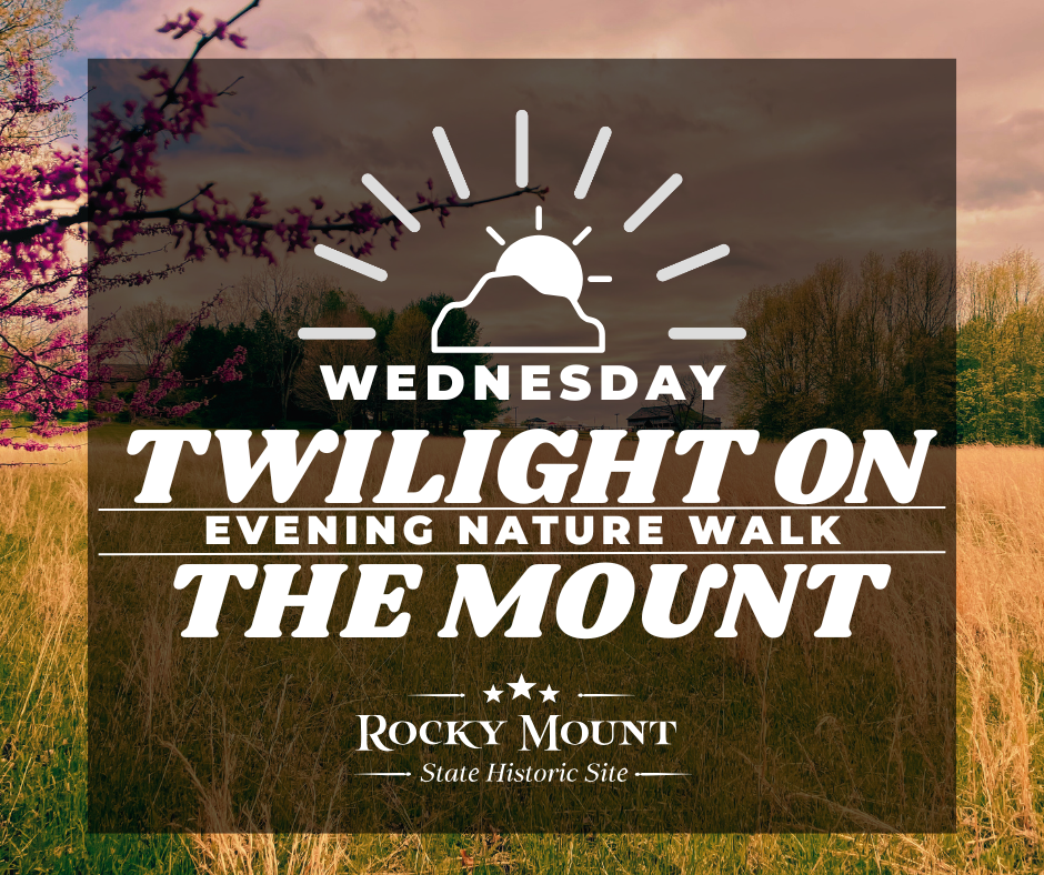 Twilight on the Mount - Evening Nature Walk