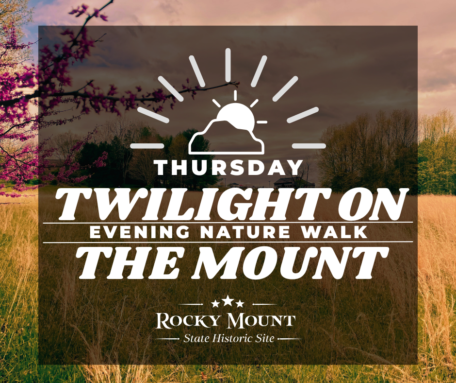 Twilight on the Mount - Evening Nature Walk