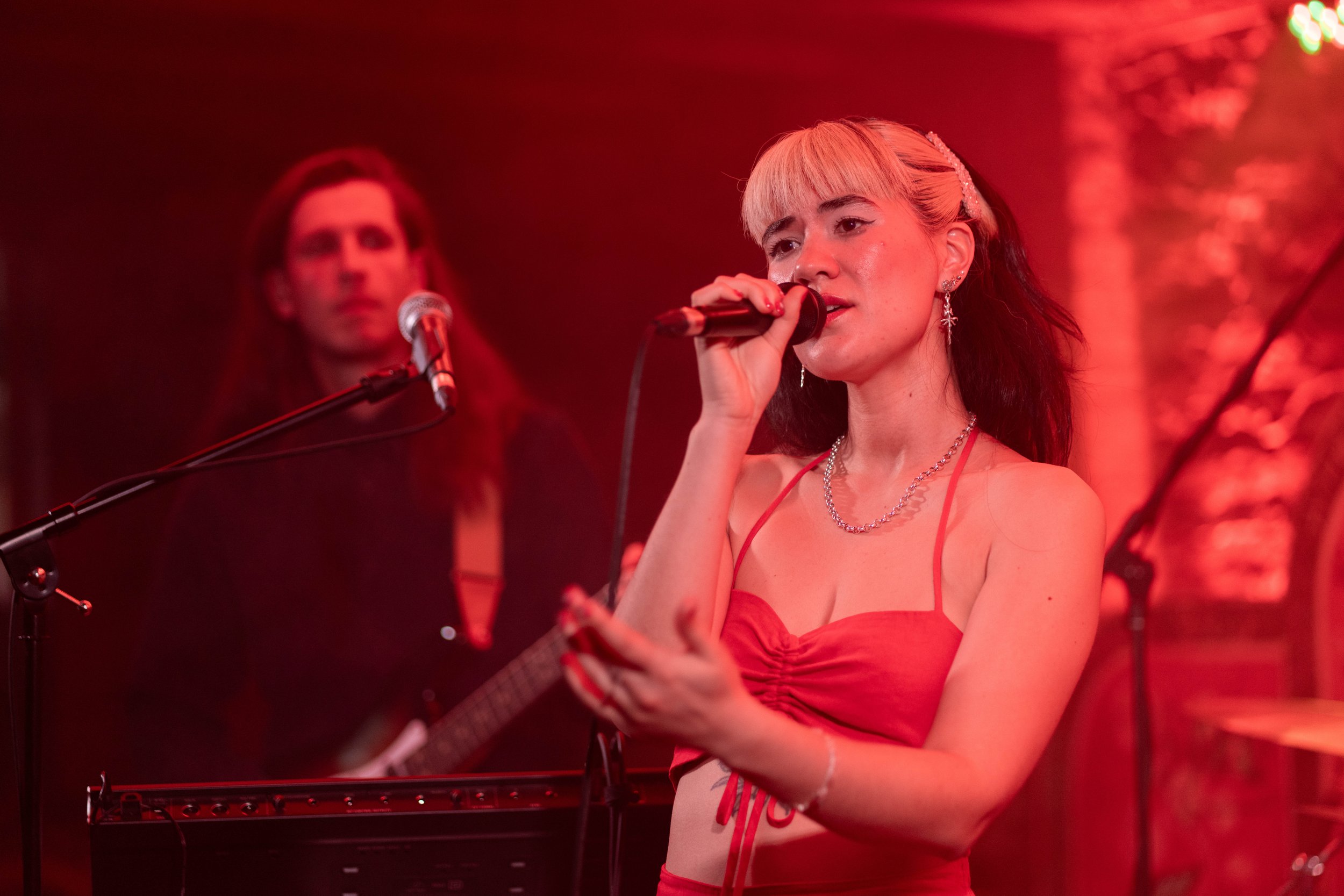 Orchidae - L'Escogriffe, MTL QC - 05.01.25