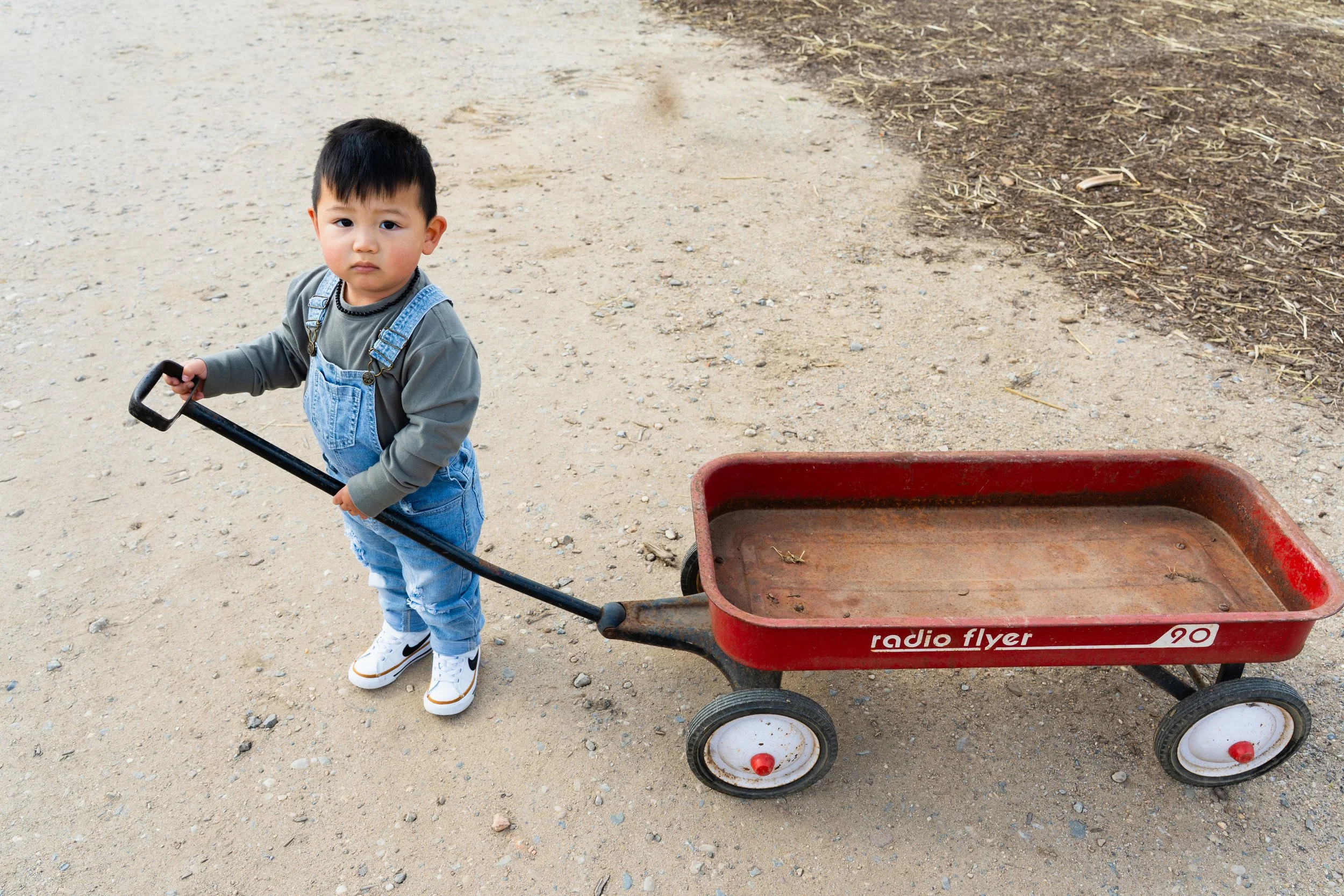 A young boy standing outdoors on a dirt path, holding a red wagon with black wheels and a black handle, wearing a gray long-sleeve shirt, blue overalls, and white sneakers.