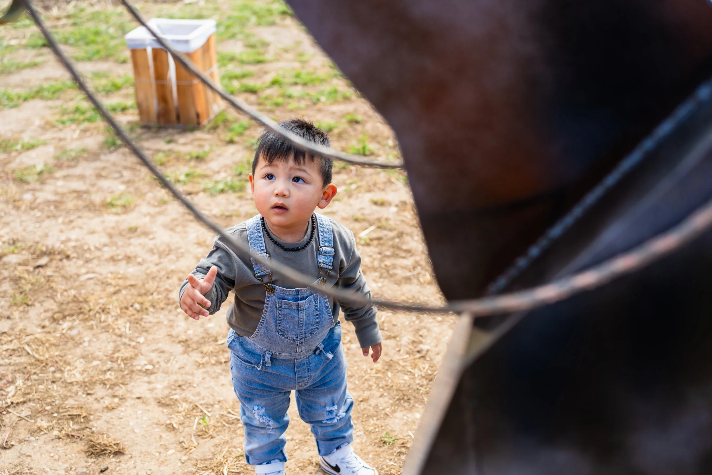A young boy with dark hair, wearing a gray long-sleeve shirt, blue denim overalls, and white sneakers, is looking up with a curious expression at an unseen person or object. The scene appears to be outdoors with a dirt ground and a wooden trash bin i