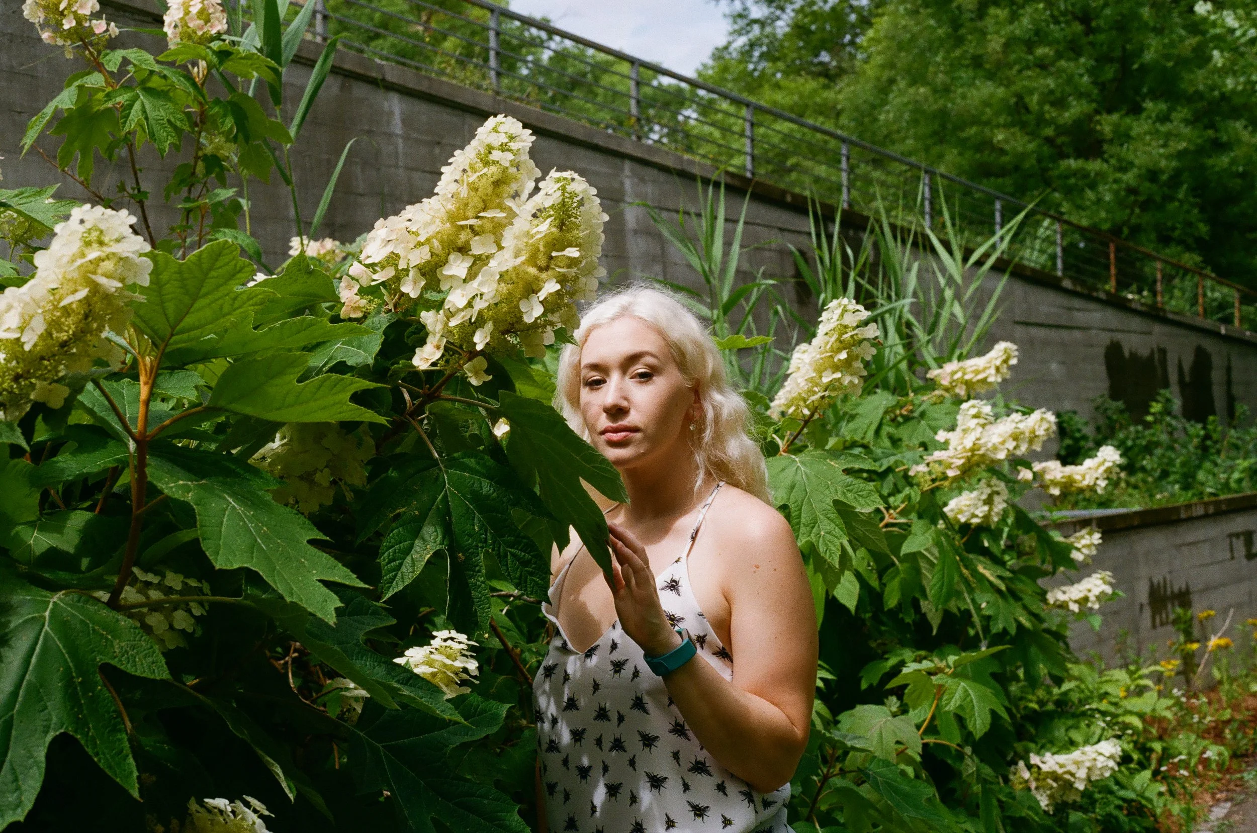 A woman with long blonde hair stands among large green hydrangea bushes with white flowers in a garden, with a concrete wall and metal railing in the background.