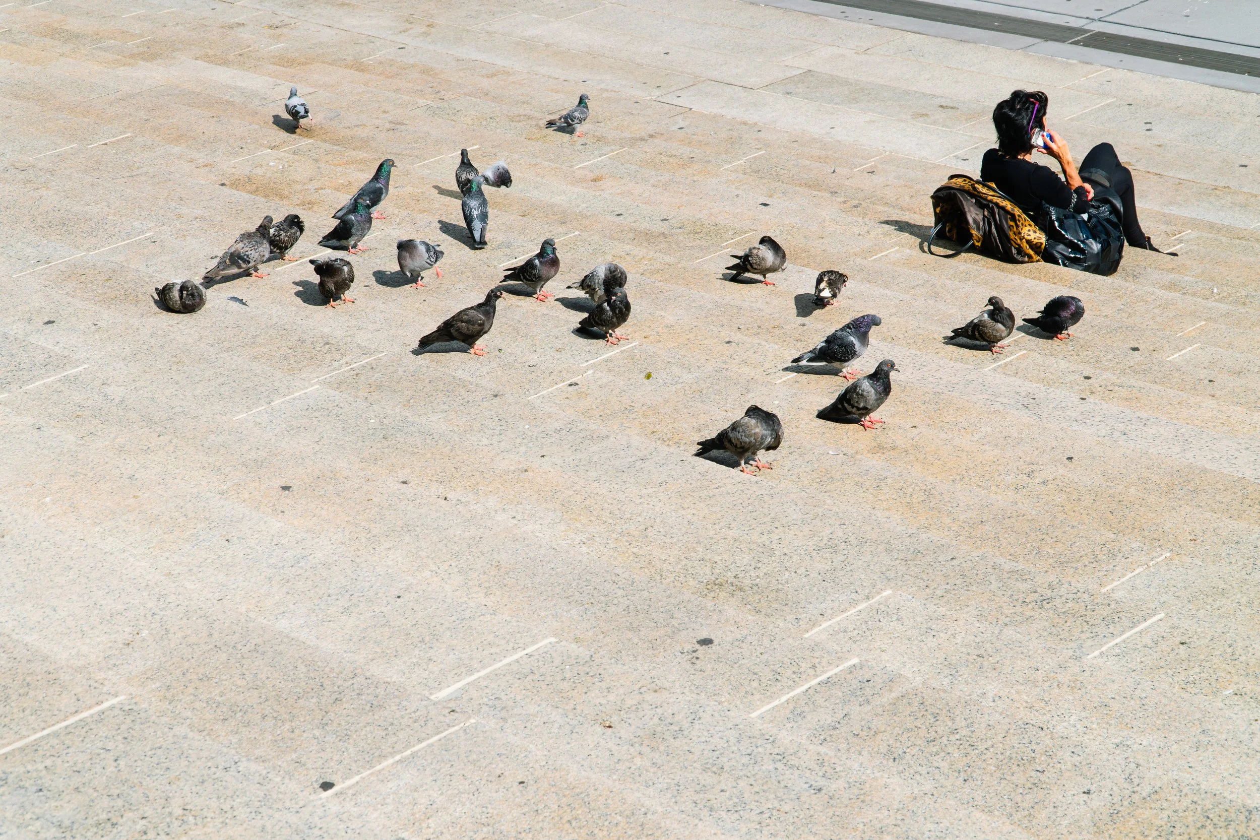 A woman sitting on stairs using her phone beside a group of pigeons on the ground.