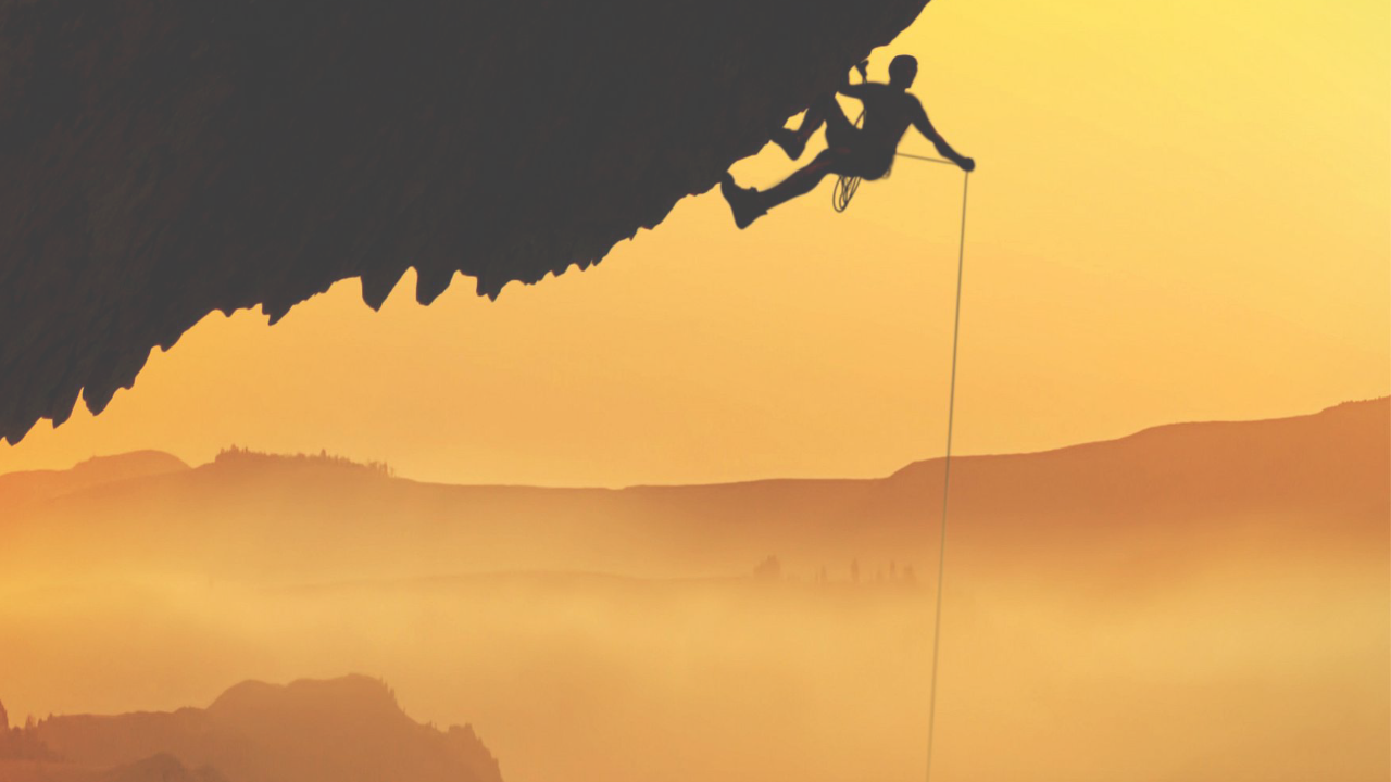 Are you a small business or a startup?
