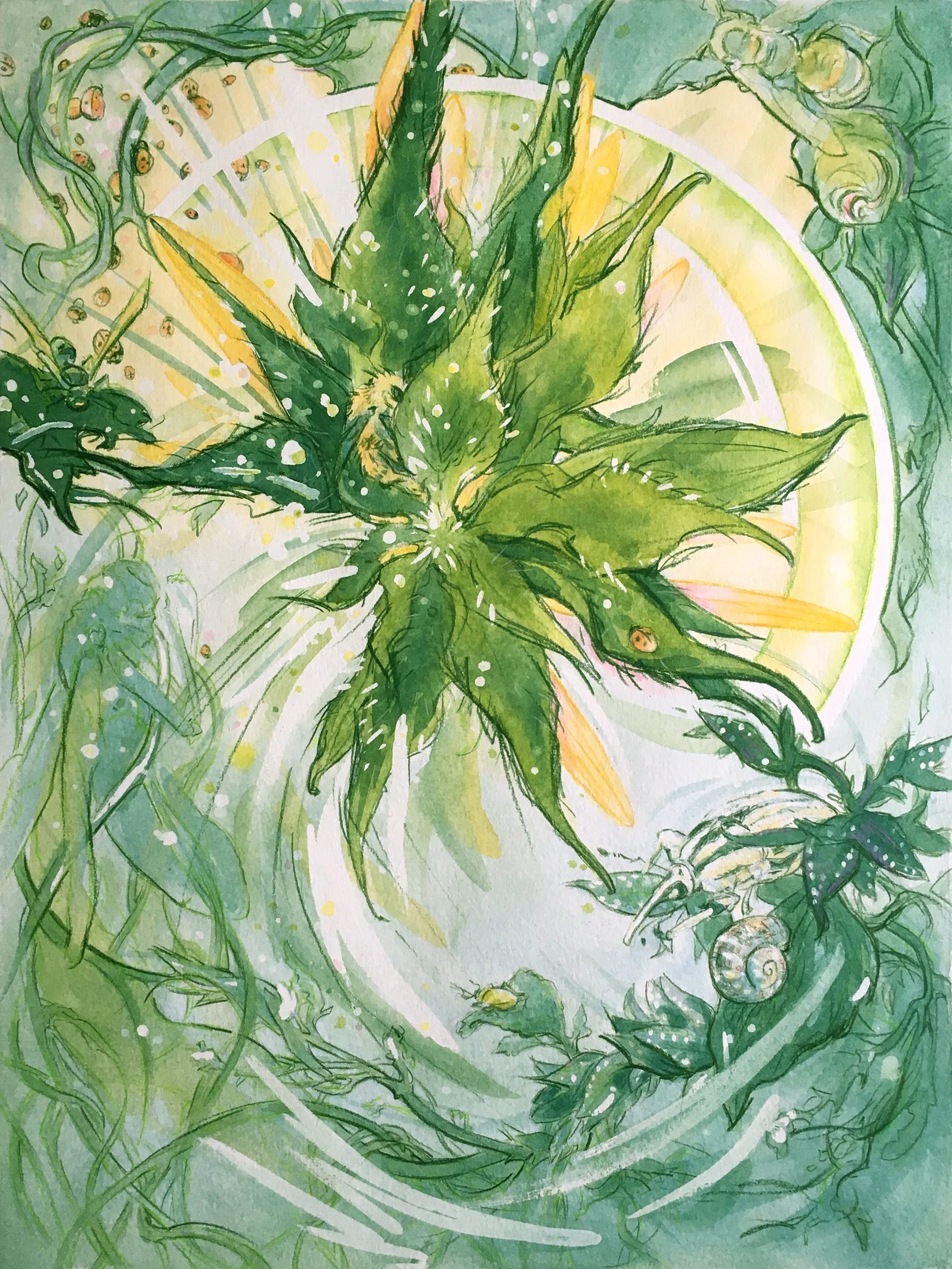 Sunflower adjusted.jpg