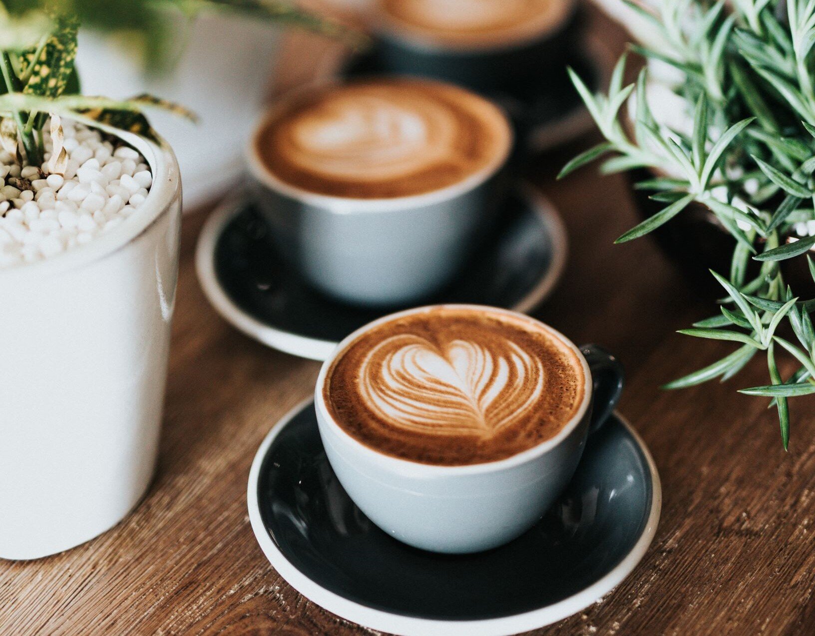 Coffee gallery.jpg
