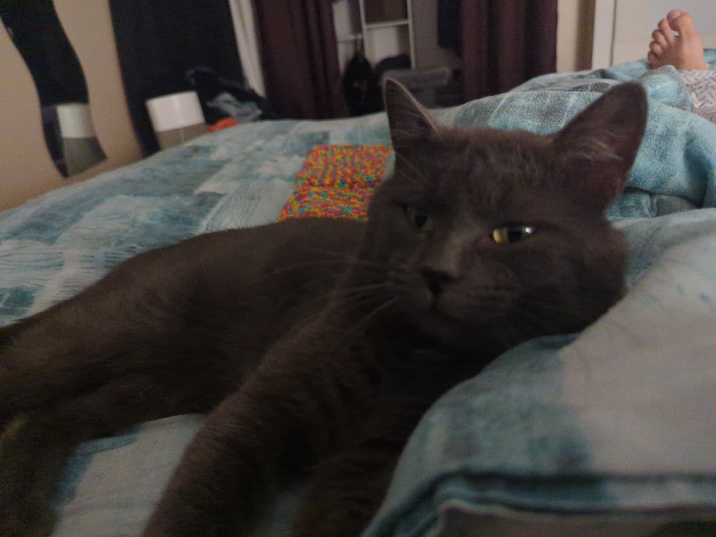 Jasper 4.jpg