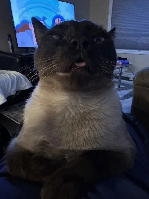 Pablo2.jpeg