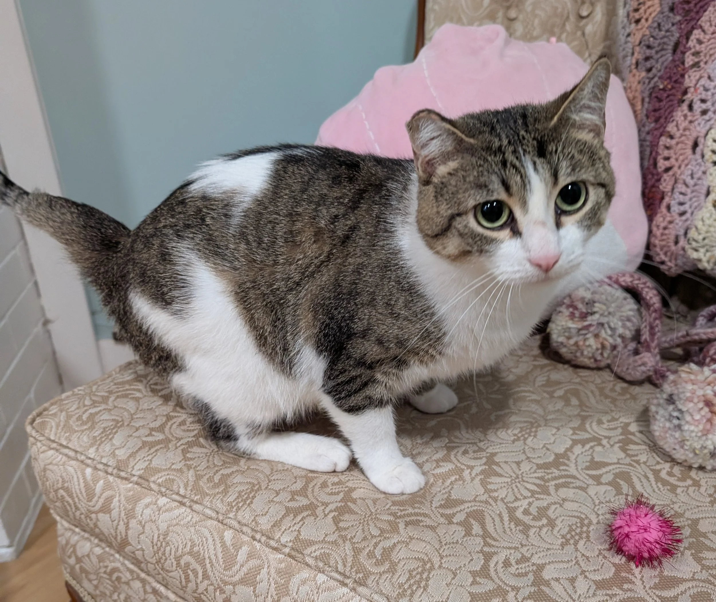 Victoria 2.jpg