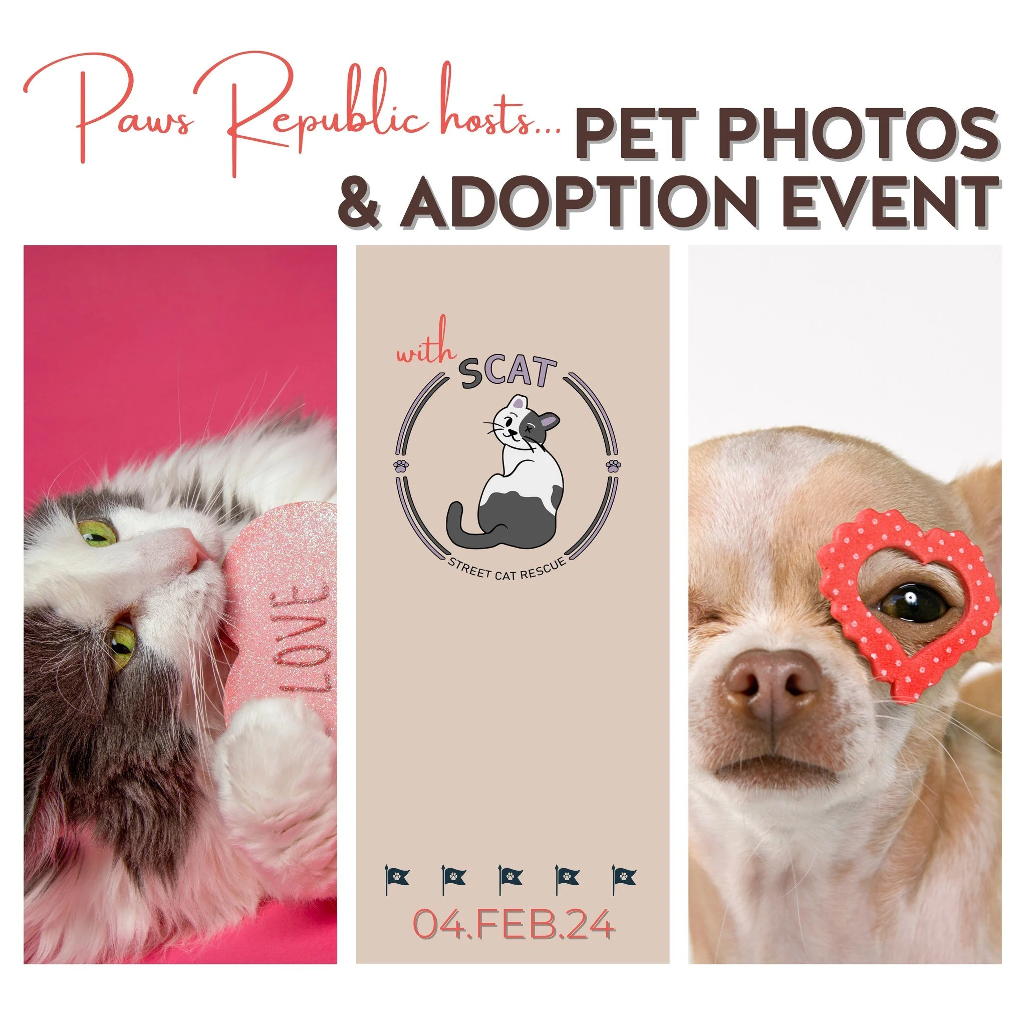 Paws Republic Pet Photos and Adoption Event