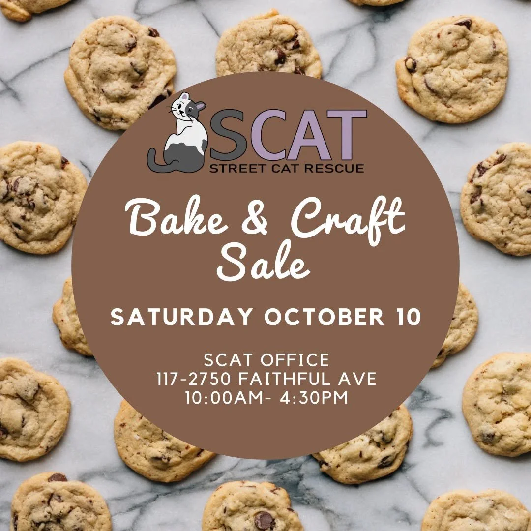 Fall Bake &amp; Craft Sale 